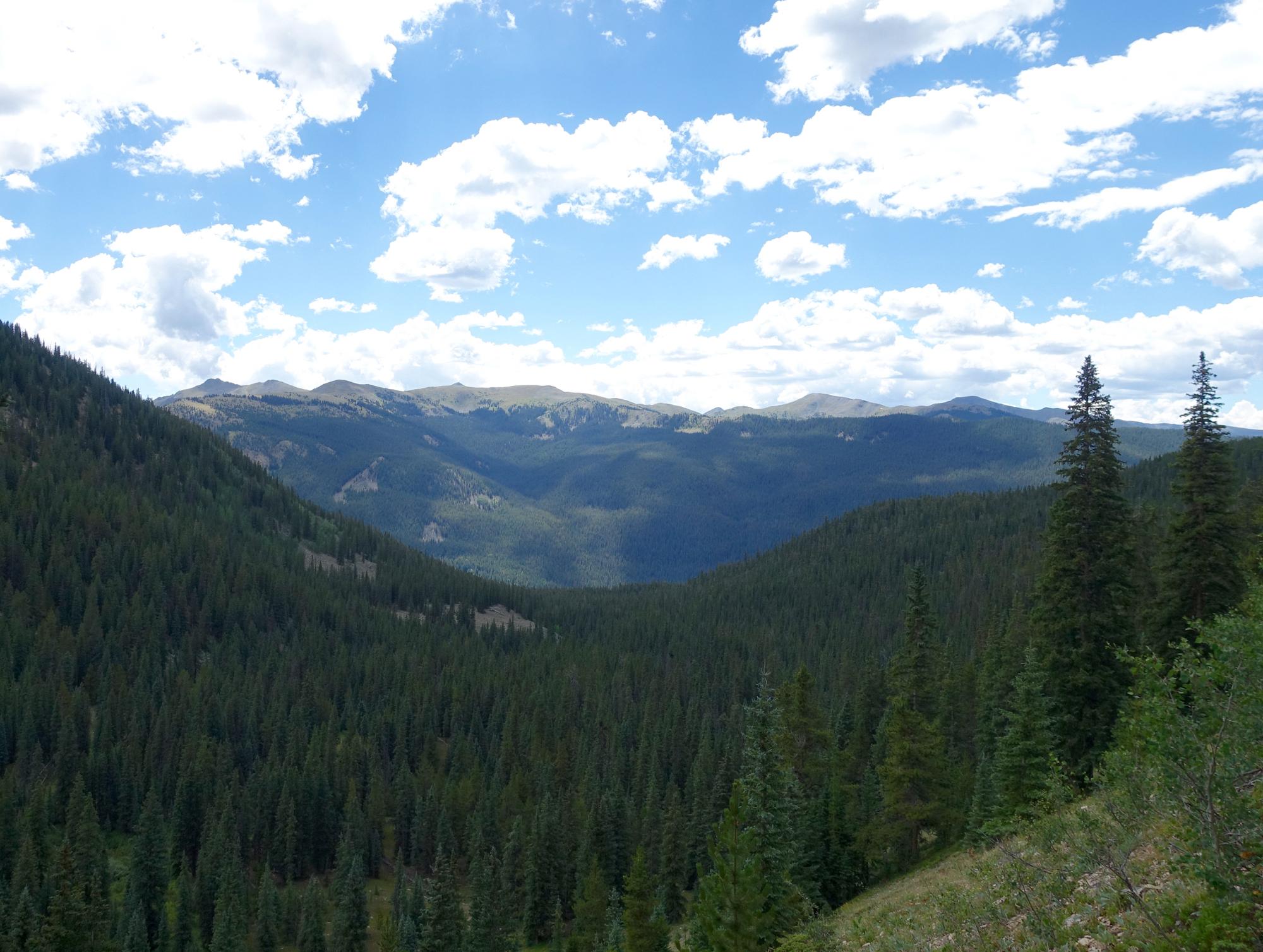 A panoramic view of a lush green forest valley with dense pine trees, rolling hills, and distant mountain peaks under a partly cloudy blue sky. Timberline Trail mountain bike trail.