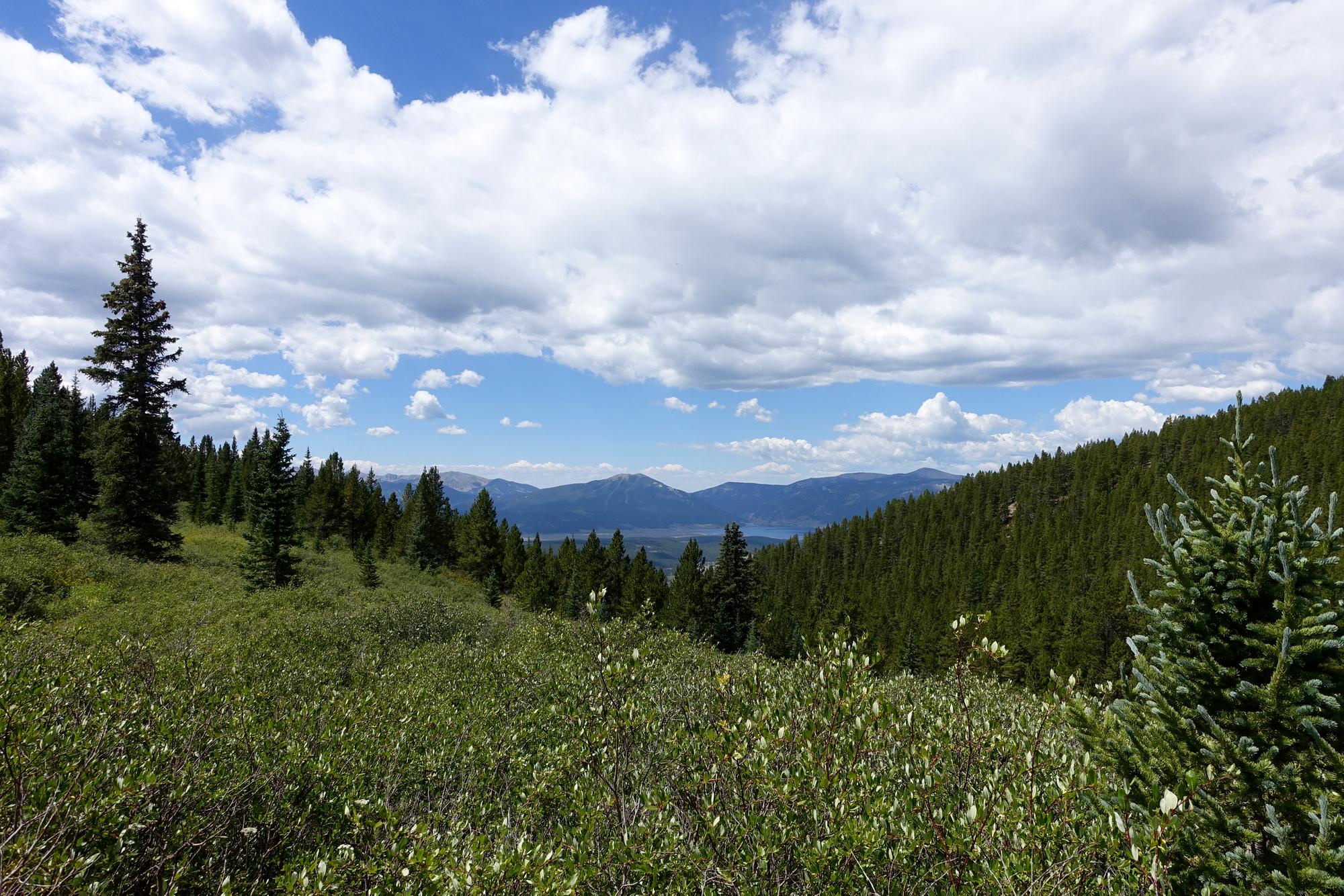 A scenic view of a mountainous landscape featuring a foreground of lush green shrubs and trees, with rolling hills and distant mountains under a partly cloudy blue sky. Timberline Trail mountain bike trail.