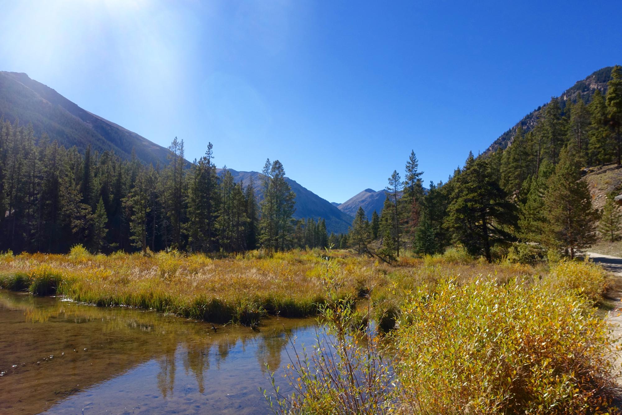 A serene landscape featuring a clear river running through a meadow of tall grasses and wildflowers, surrounded by dense evergreen trees. Majestic mountains rise in the background under a bright blue sky, with sunlight casting a warm glow on the scene. Colorado Trail: Twin Lakes / Hwy 82 to Half Moon Rd / Mount Massive Wilderness mountain bike trail.