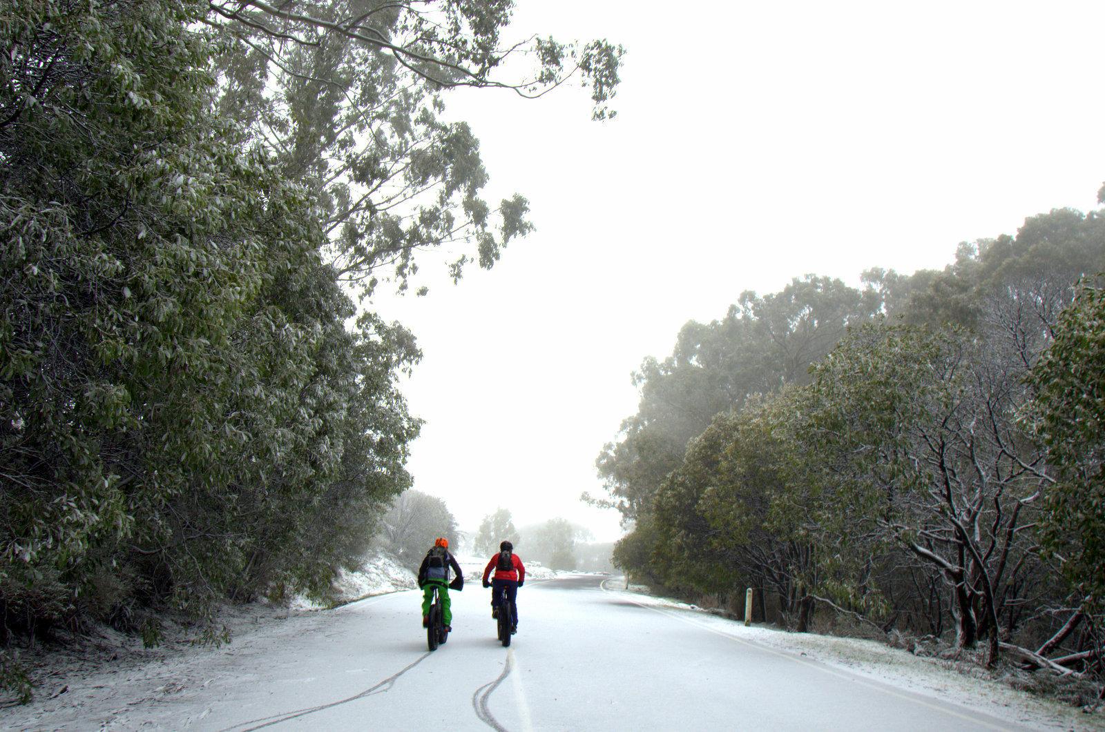 Mt Donna Buang Mountain Bike Trail in Warburton, Australia Directions, Maps, Photos, and Reviews