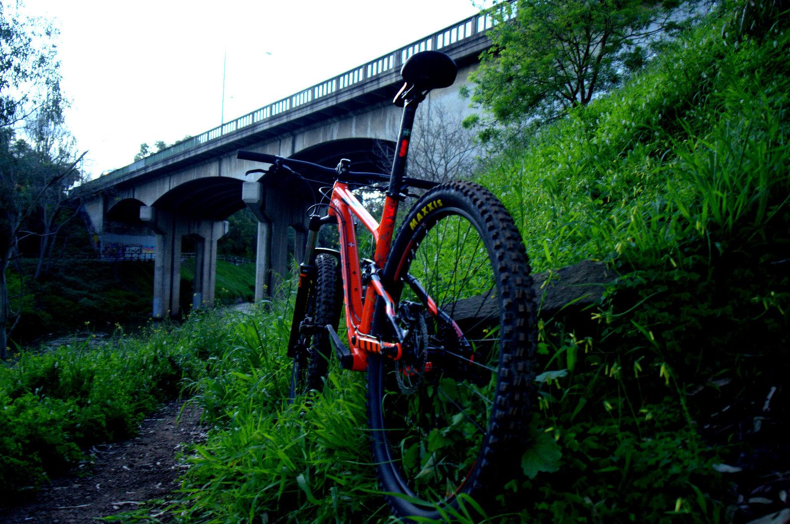 Trek Fuel EX 5 29: A close-up view of a mountain bike leaning against a grassy bank, with a concrete bridge overhead in the background. The bike features a bright orange frame and rugged tires, while lush greenery surrounds the trail leading into the scene.