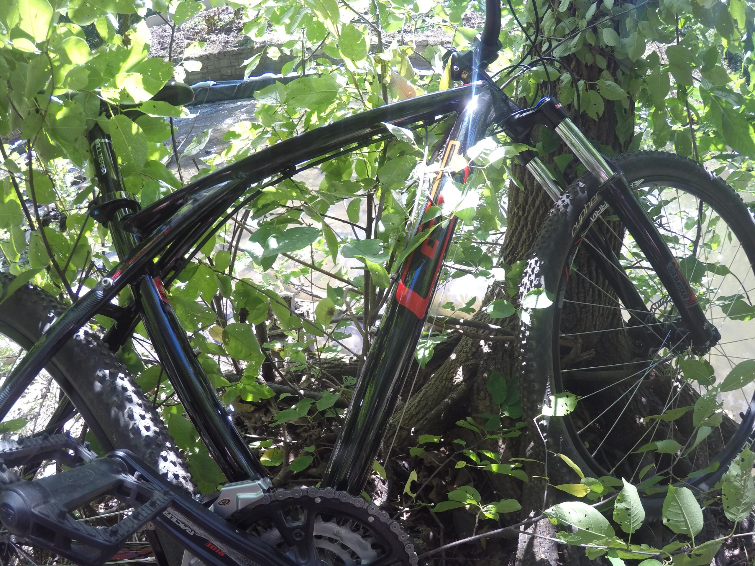 GT Avalanche Comp: A black mountain bike entangled in green foliage next to a tree, with a glimpse of water visible in the background. The bike features thick tires and a sleek frame, partially obscured by surrounding leaves and branches.