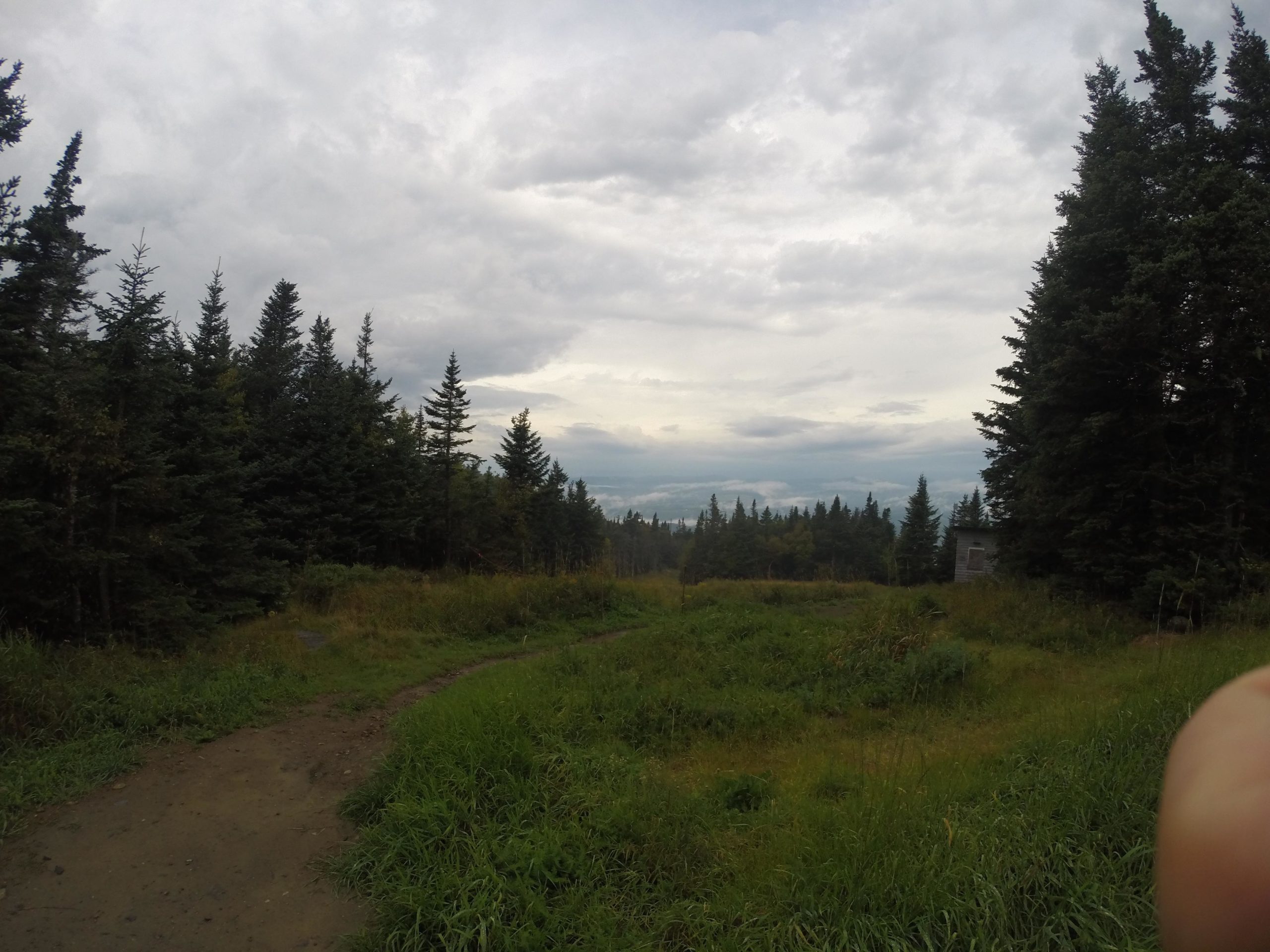 A scenic view of a dirt path winding through a grassy area, surrounded by tall pine trees under a cloudy sky. In the distance, the horizon shows a hint of hills or mountains. A small, weathered structure is partially visible on the right side of the image. Kingdom Trails mountain bike trail.