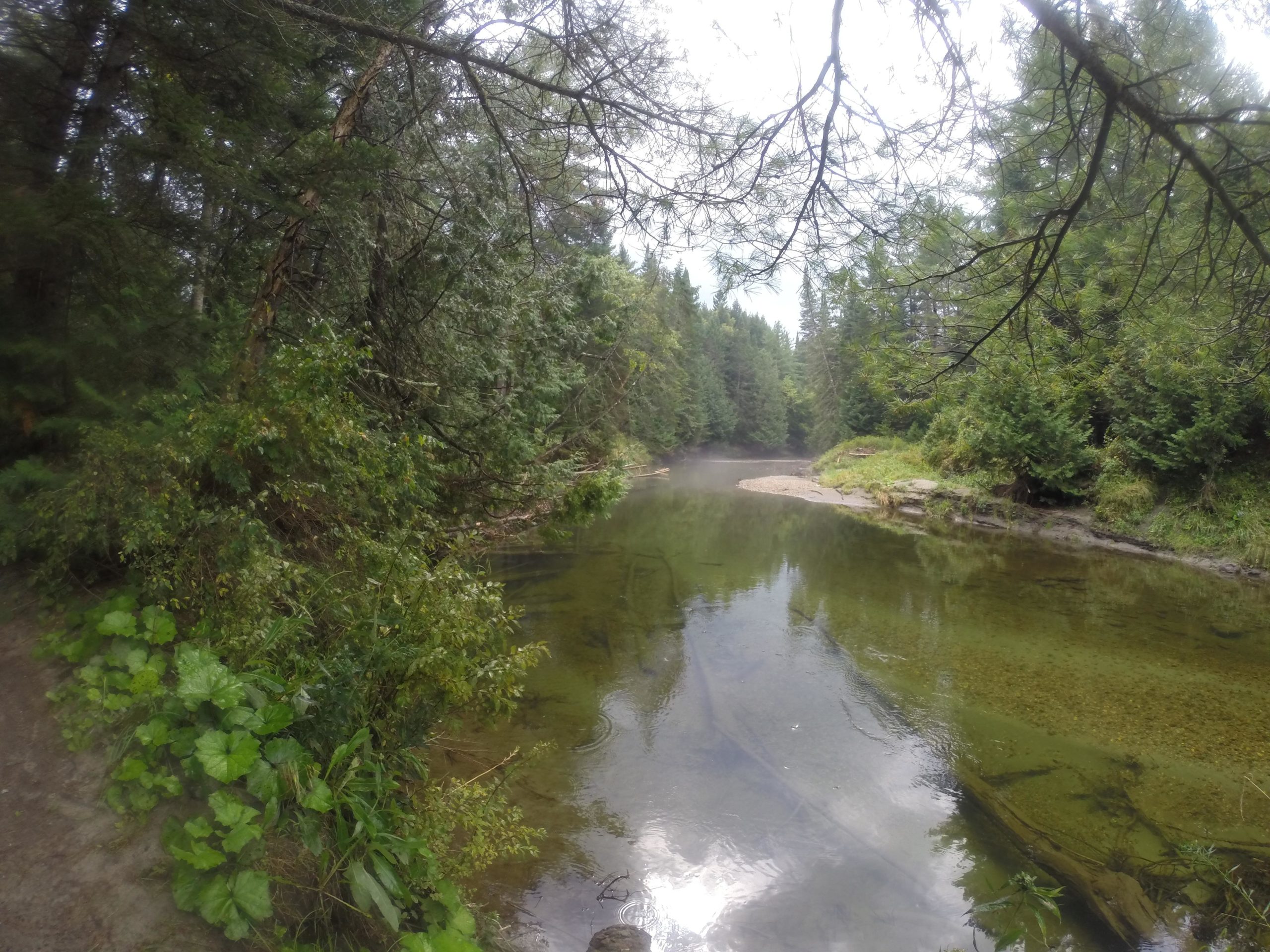 A serene view of a river surrounded by lush green trees and dense foliage. The water is calm and reflective, with a sandy area visible along the shore. The scene conveys a peaceful, natural environment, ideal for outdoor activities like hiking or fishing. Kingdom Trails mountain bike trail.