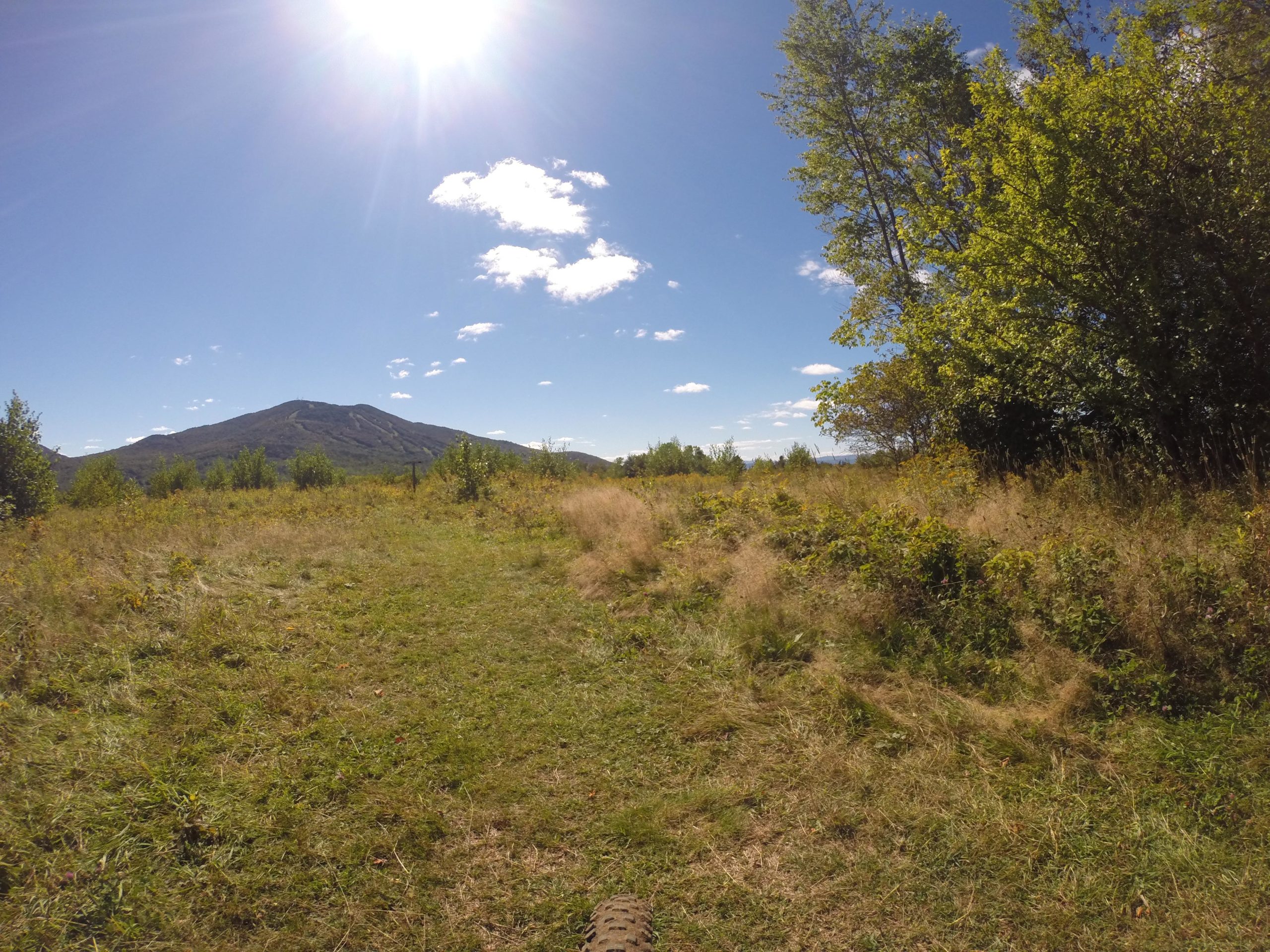 A scenic view of a grassy field leading towards a mountain, with a bright sun shining overhead and a clear blue sky dotted with clouds. Lush greenery surrounds the field, creating a tranquil outdoor landscape. Kingdom Trails mountain bike trail.
