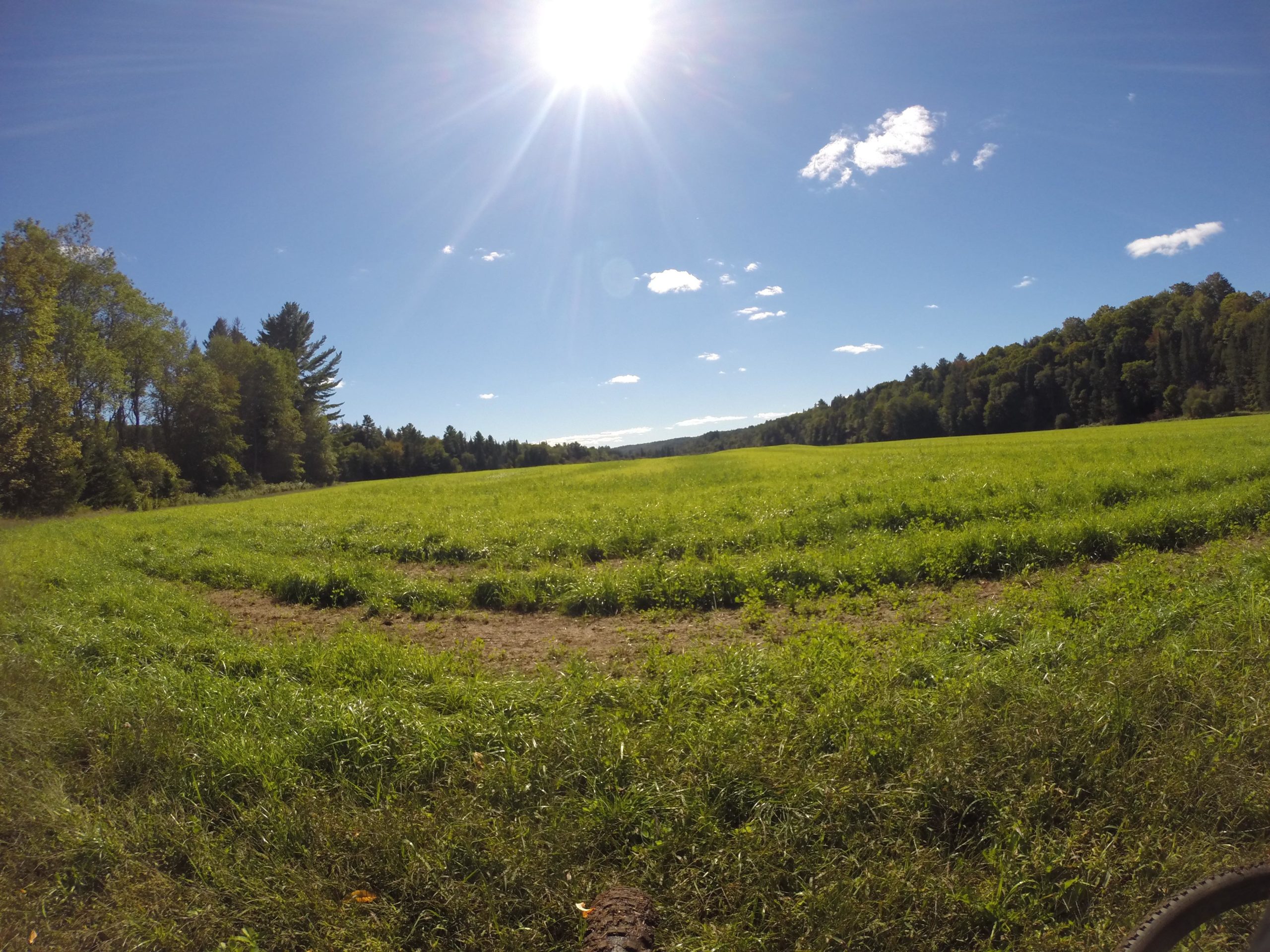 A sunny day over a lush green field, surrounded by a line of trees. The clear blue sky features a few fluffy clouds, and the sun shines brightly in the upper corner, creating a vibrant, inviting landscape. Kingdom Trails mountain bike trail.