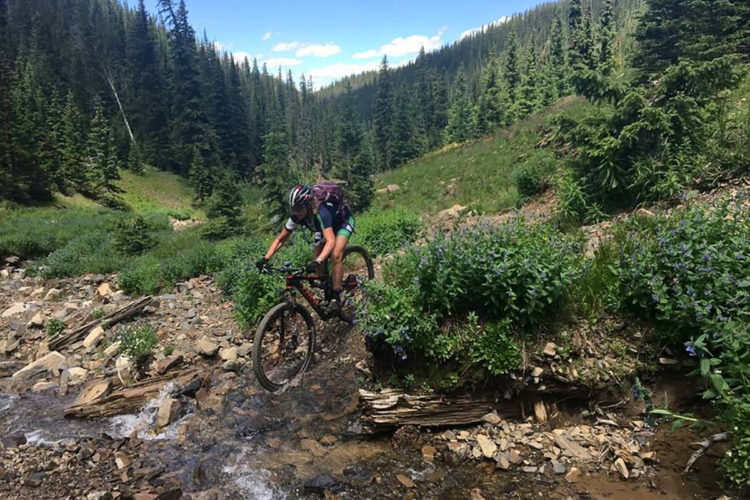 A mountain biker navigating over rocky terrain and a small stream in a lush green forest. Tall trees and blue skies create a scenic backdrop.
