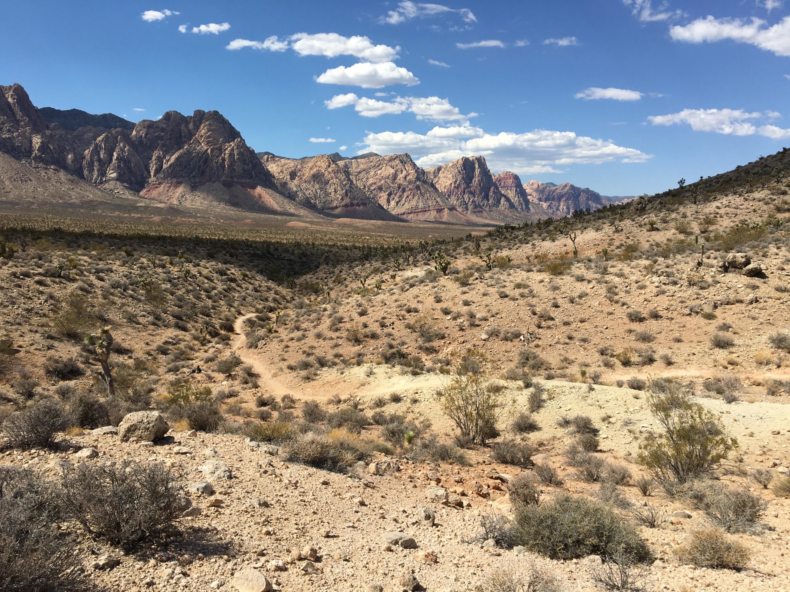 A scenic view of a desert landscape featuring a winding dirt path, sparse vegetation, and rugged mountains in the background under a bright blue sky with a few white clouds. The terrain includes rocky ground and scattered shrubs typical of arid environments. Cottonwood Valley North mountain bike trail.