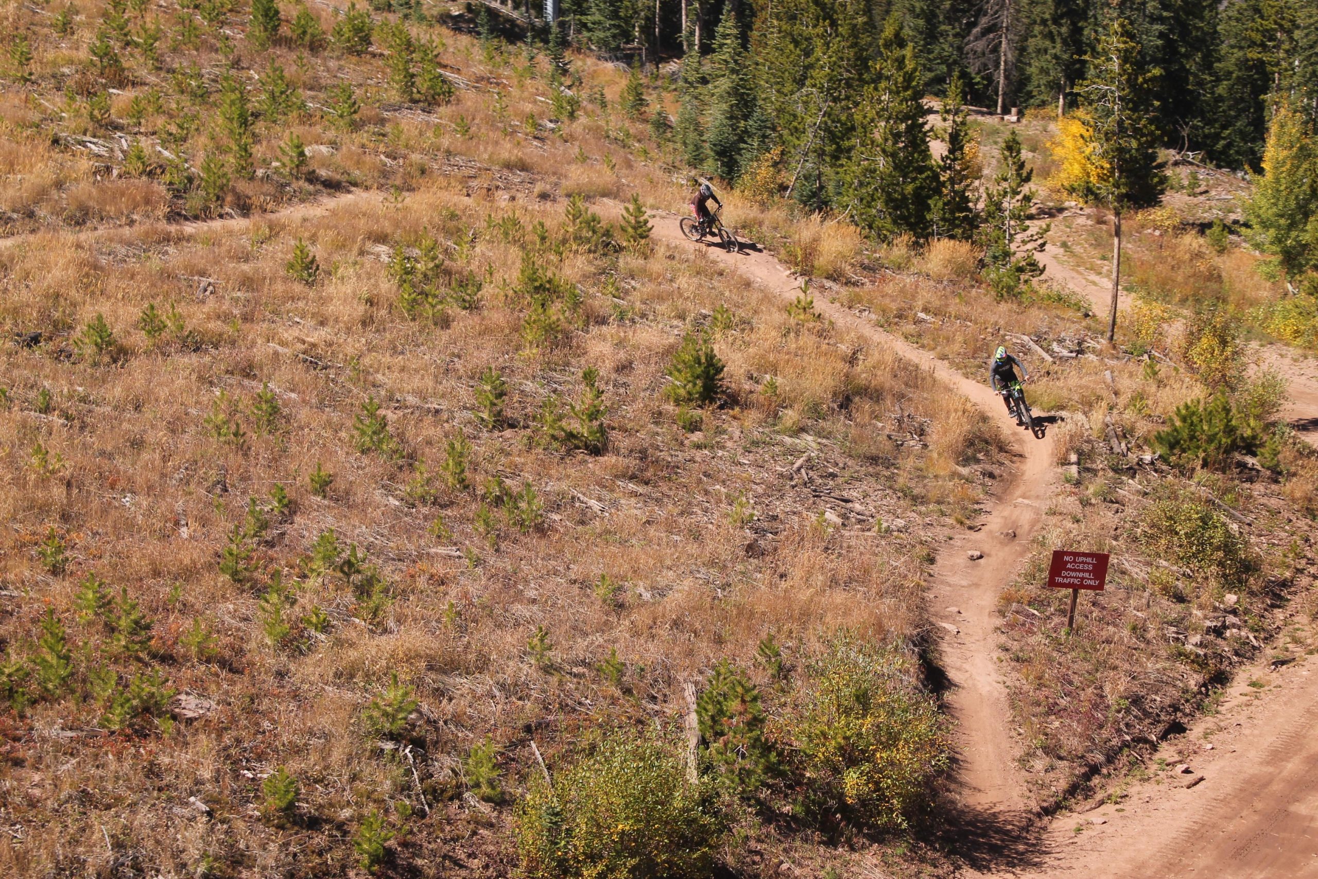 Two mountain bikers navigate a winding dirt trail through a grassy hillside surrounded by small trees and foliage. A wooden sign indicating trail usage is visible in the foreground. The landscape features a mix of golden grass and patches of greenery, under a clear blue sky. Vail Mountain Bike Park mountain bike trail.