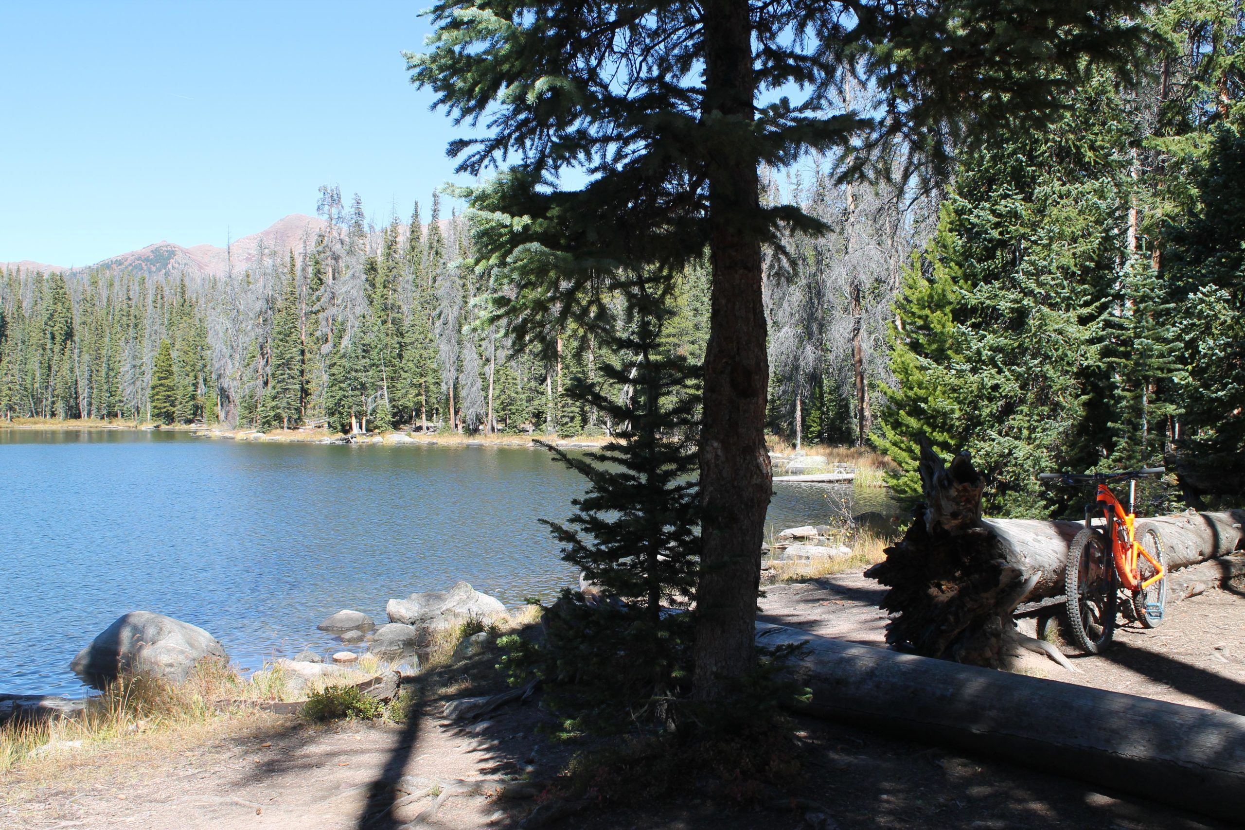 A serene lakeside scene surrounded by tall pine trees under a clear blue sky. A vibrant orange bicycle is leaning against a fallen log near the water