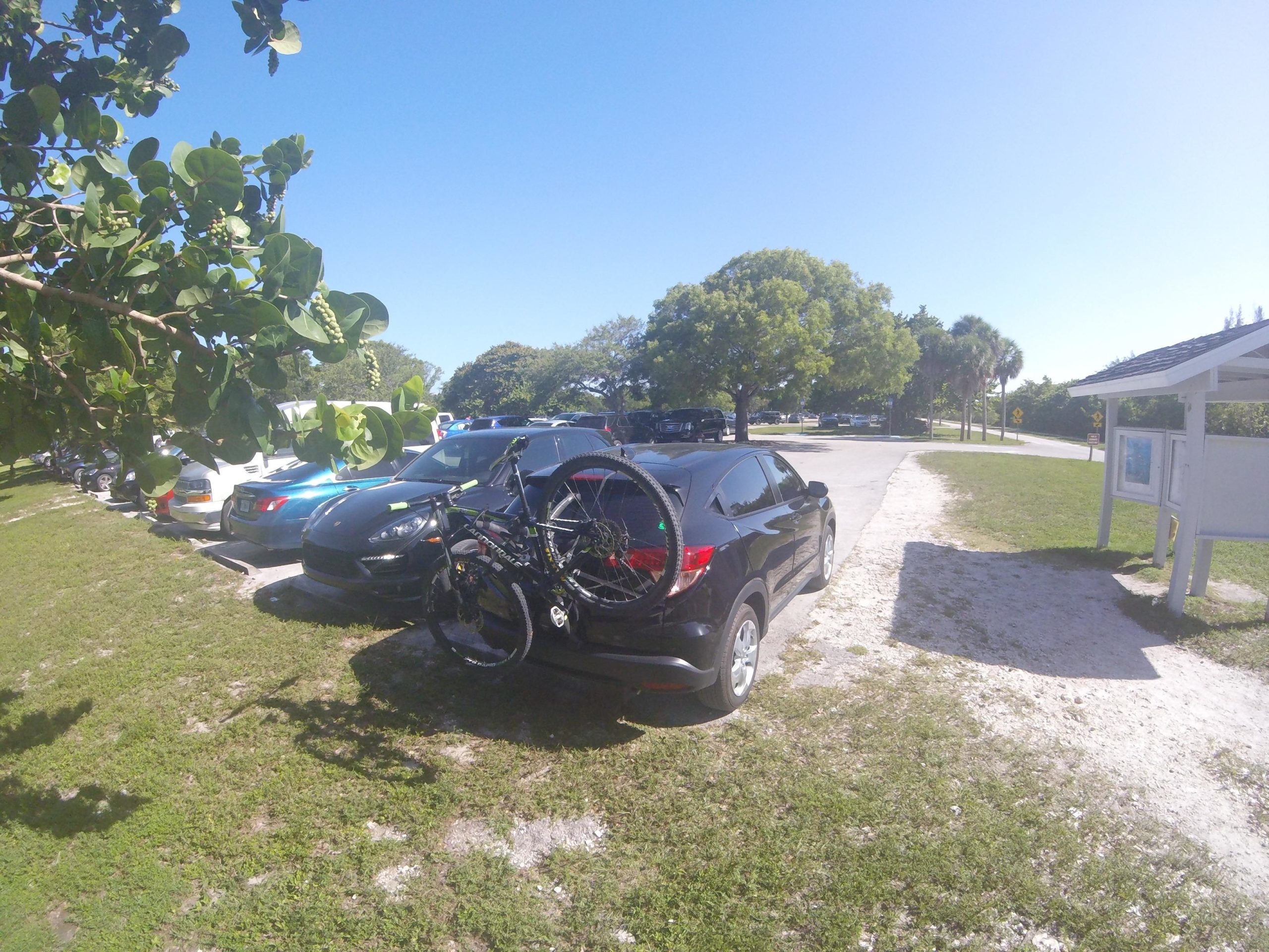 A parking lot with several cars, including a black vehicle with a bicycle mounted on its rear. In the foreground, there is grass and a tree with foliage, while a road leads off into the background. A bulletin board stands nearby. The scene is under bright blue skies. Oleta River State Park mountain bike trail.
