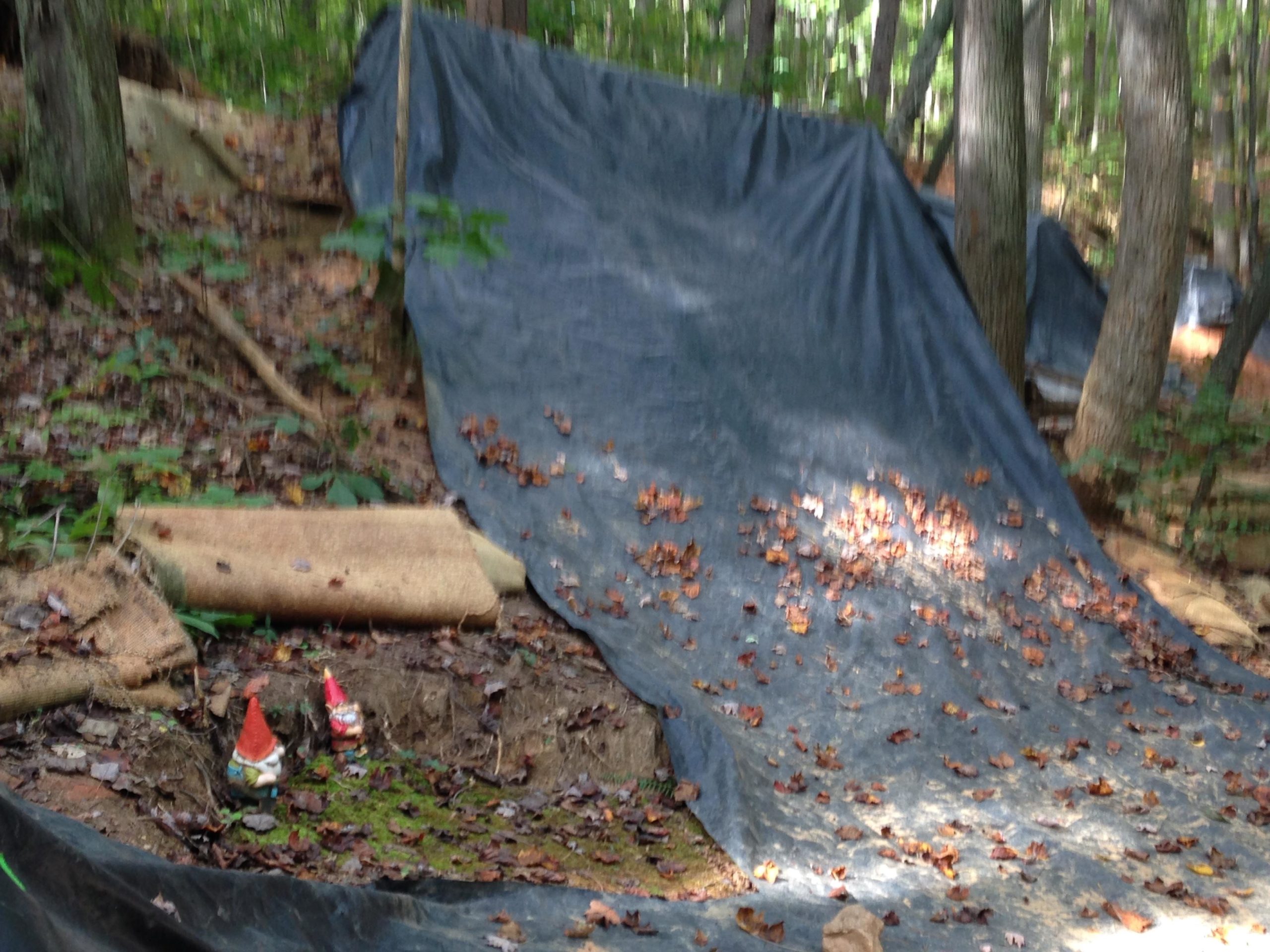 A forested area featuring a slope covered with black tarp, scattered with fallen leaves. At the base of the slope, two small garden gnomes with red hats are positioned among the foliage and moss. A rolled-up carpet is also visible, partially lying on the ground. Salem Lake mountain bike trail.