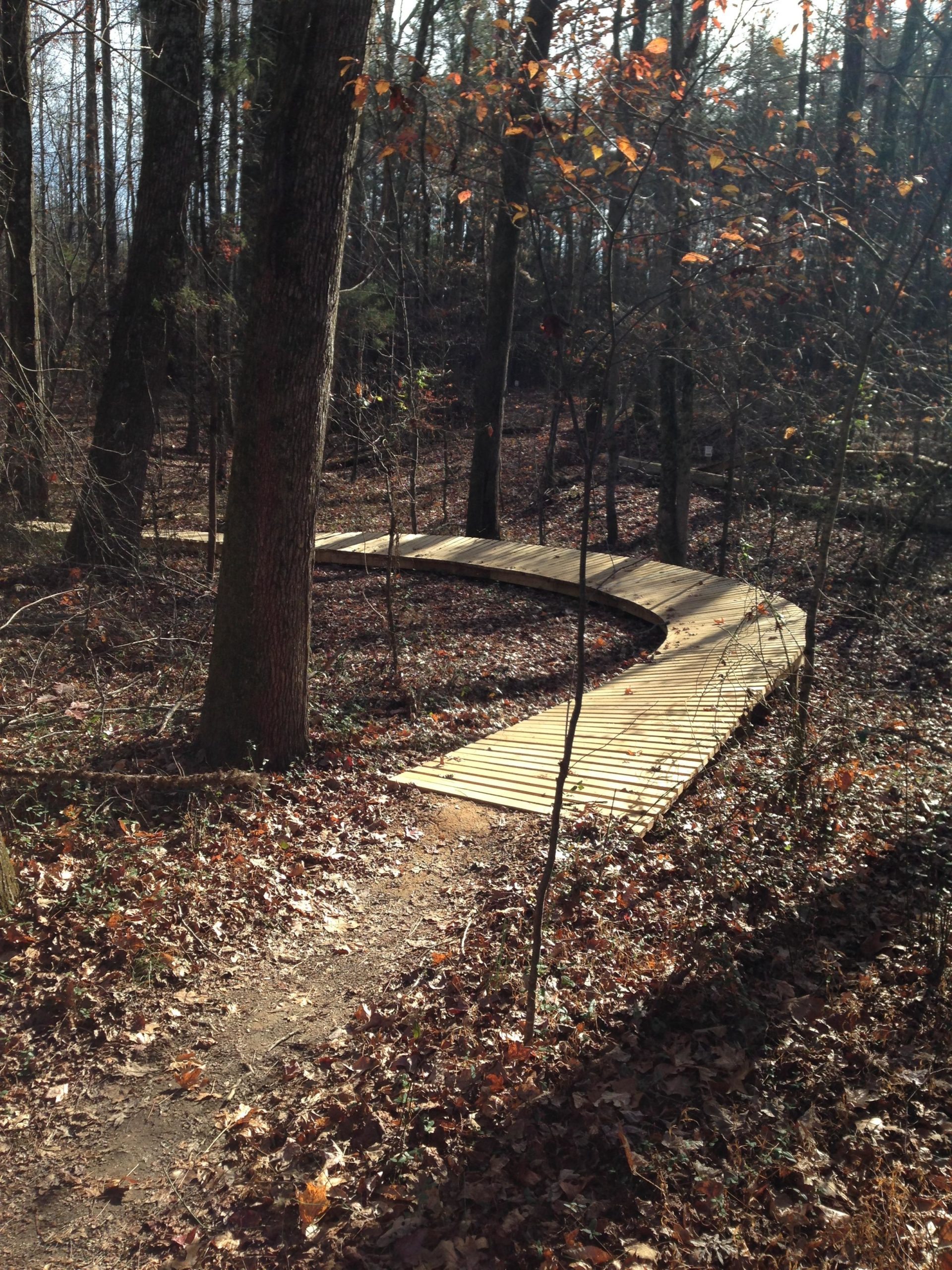 A winding wooden boardwalk path through a forest, surrounded by trees with bare branches and fallen autumn leaves on the ground. Sunlight filters through the trees, casting shadows on the path. Kernersville MTB park mountain bike trail.