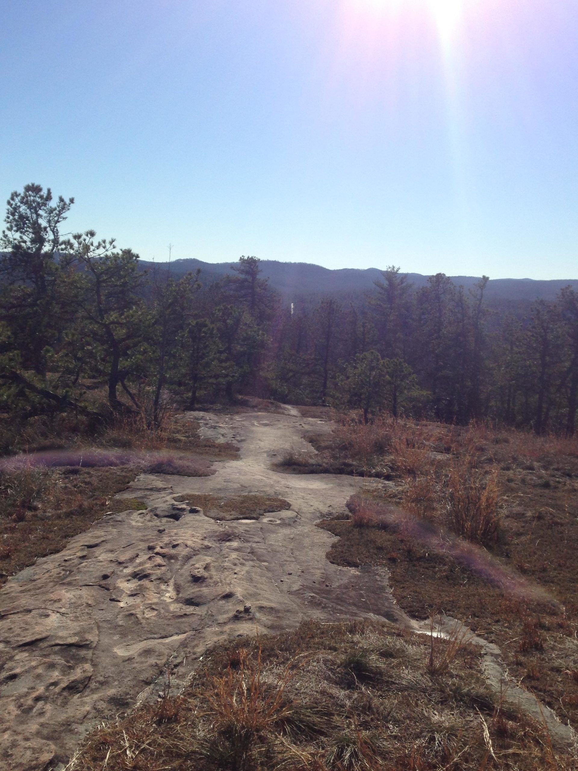 A rocky path winding through a forested area with sparse grass and tall pine trees, leading toward distant mountains under a clear blue sky. The sun is shining brightly, casting a warm glow over the scene. Cedar Rock Trail #16 mountain bike trail.