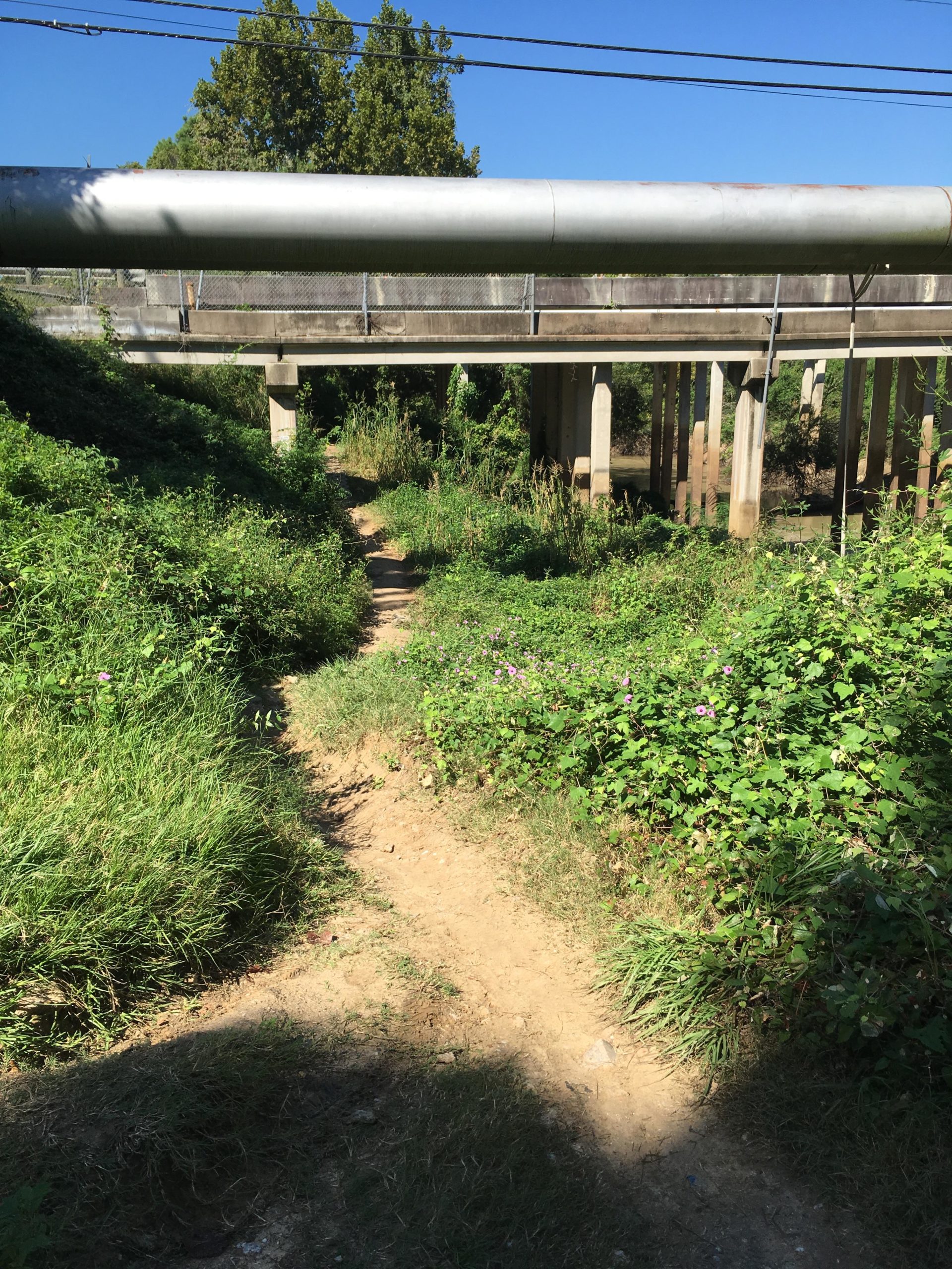 A dirt path surrounded by tall grasses and wildflowers, leading toward the shadow of a large metal pipeline overhead supported by concrete pillars. The scene is set under a clear blue sky, with greenery in the background. Buffalo Bayou - Addicks Dam mountain bike trail.