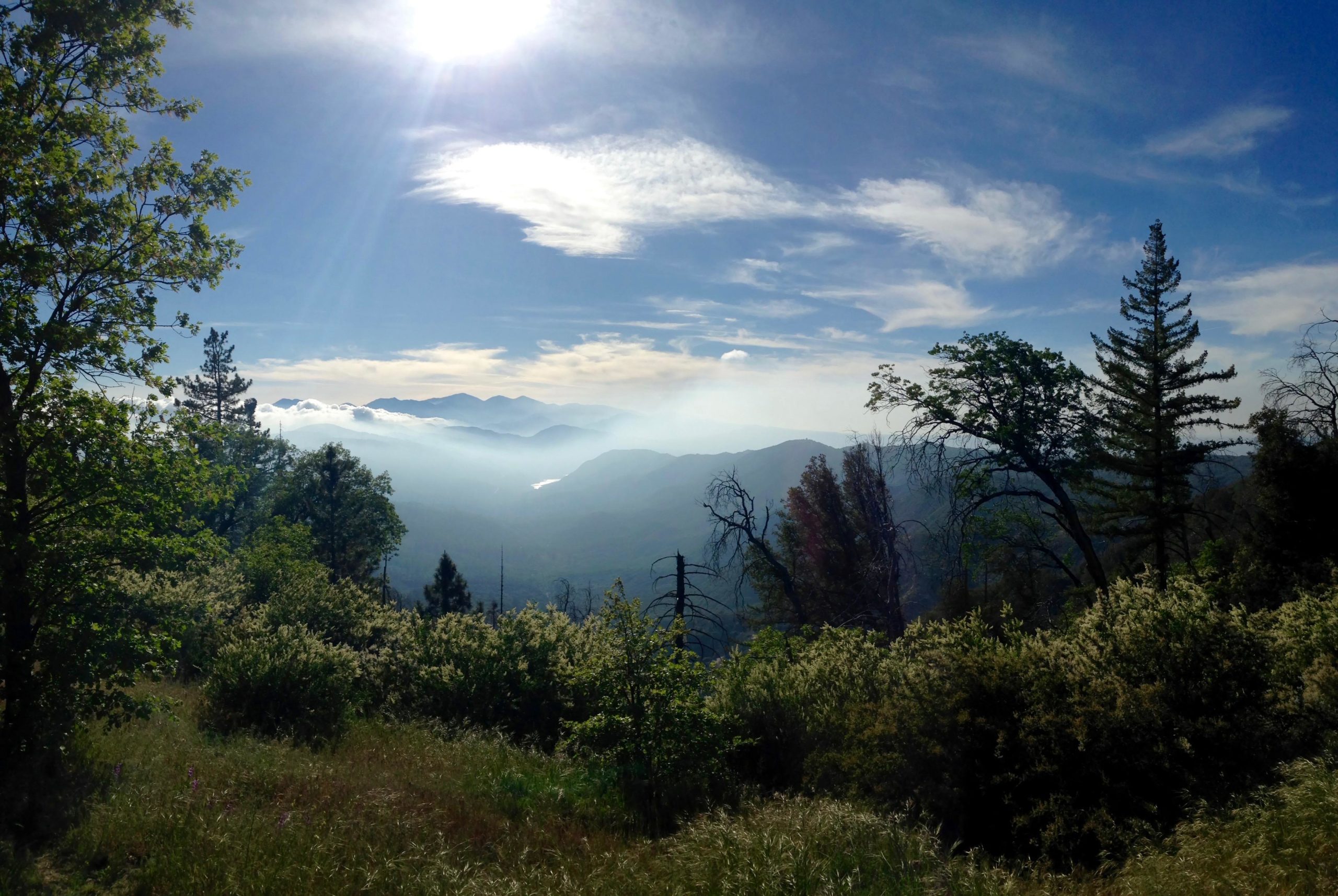A scenic view of a mountainous landscape under a bright sun. The foreground features lush greenery with trees and flowering shrubs, while the background showcases rolling mountains partially shrouded in mist. A clear blue sky with wispy clouds complements the tranquil atmosphere of the scene. Metate / Rock Camp Trail mountain bike trail.