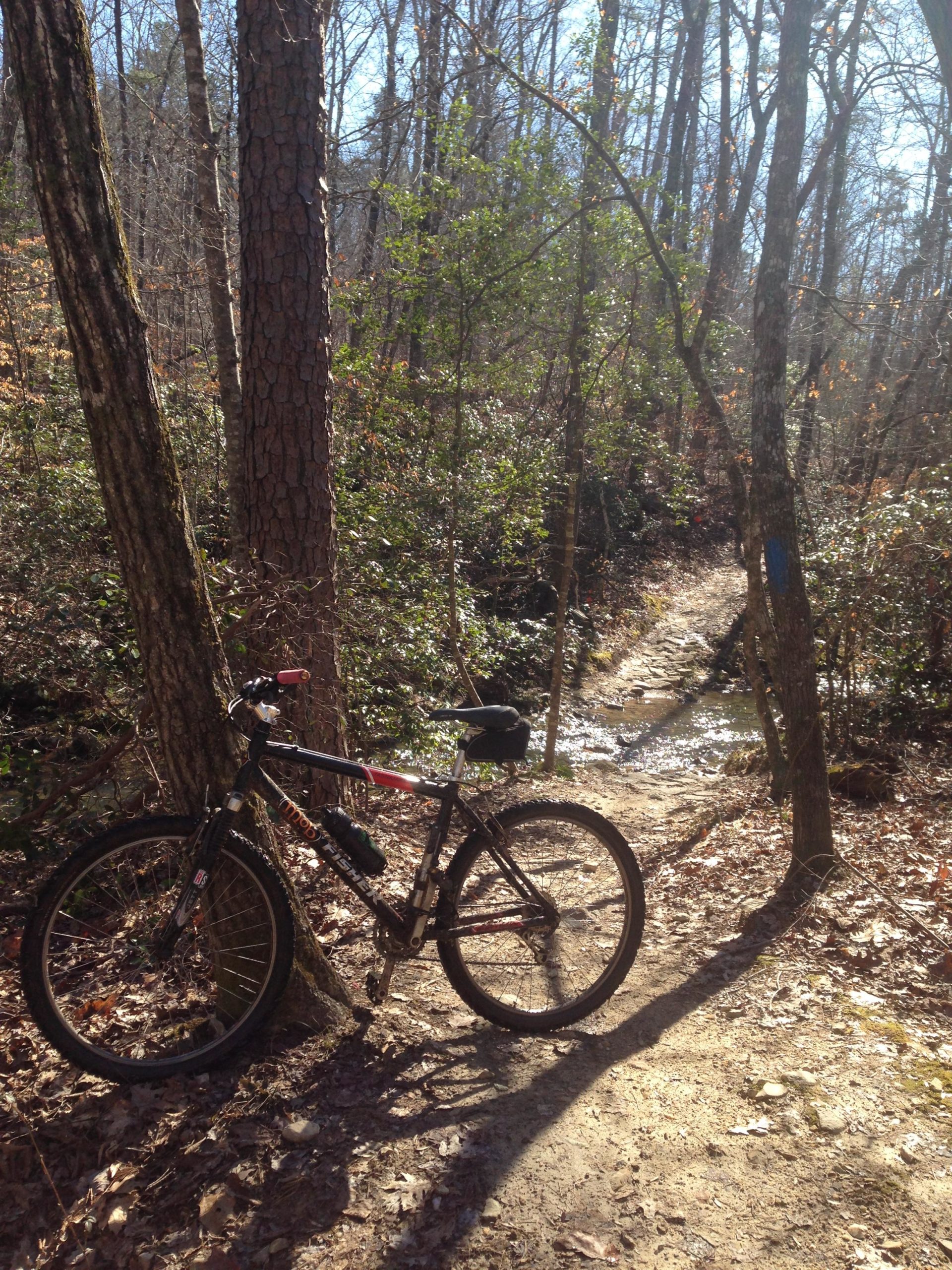A mountain bike resting against a tree on a dirt path in a wooded area, with sunlight filtering through the trees and a small creek visible in the background. The ground is covered in fallen leaves, and there are green shrubs and trees surrounding the path. Uwharrie NF: Wood Run, Supertree And Keyauwee mountain bike trail.