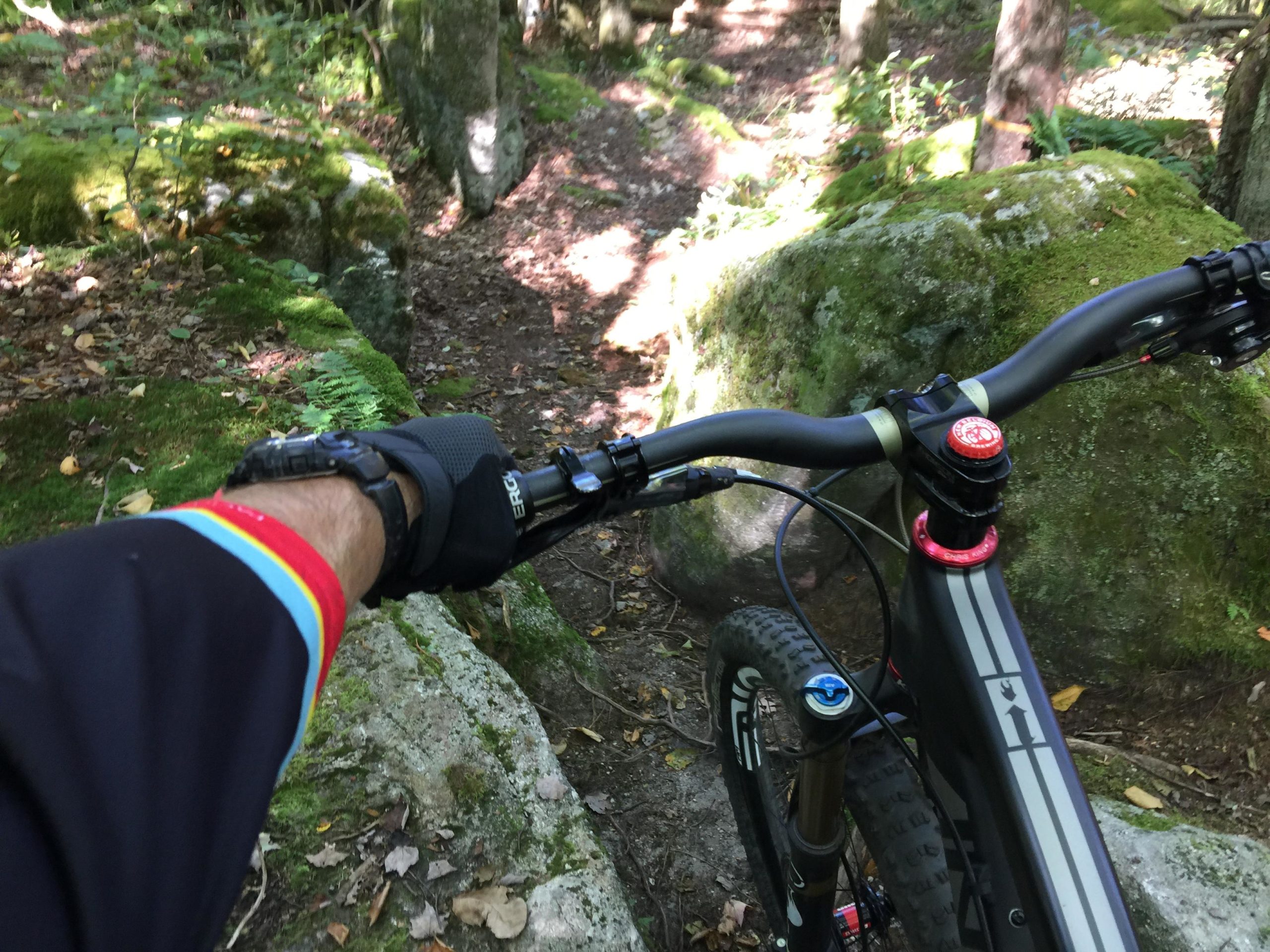 A close-up view of a mountain biker's hand gripping the handlebars of a bike, with a rocky and moss-covered trail visible ahead. The scene is set in a dense, wooded area, showcasing a mix of sunlight and shadow on the forest floor. Big Bear Lake Trail Center mountain bike trail.