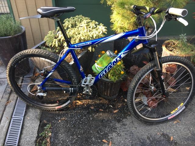 Giant Ranier: A blue Giant mountain bike with a sleek frame, positioned next to a planter filled with greenery and autumn-colored leaves. The bike features thick tires, a water bottle attached, and is resting on a gravel surface.