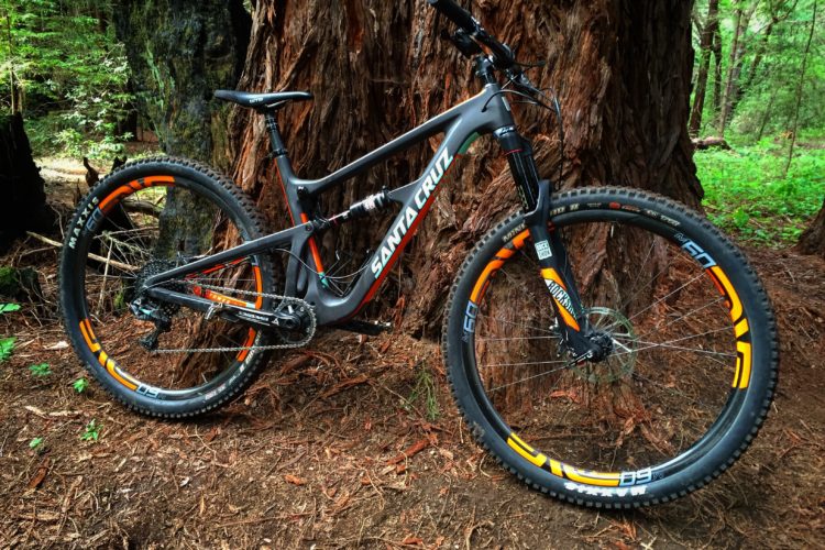 A mountain bike leaning against a large tree in a forested area, featuring a black and orange color scheme, thick tires, and prominent branding. The background includes lush greenery and textured tree bark, suggesting a natural outdoor setting.
