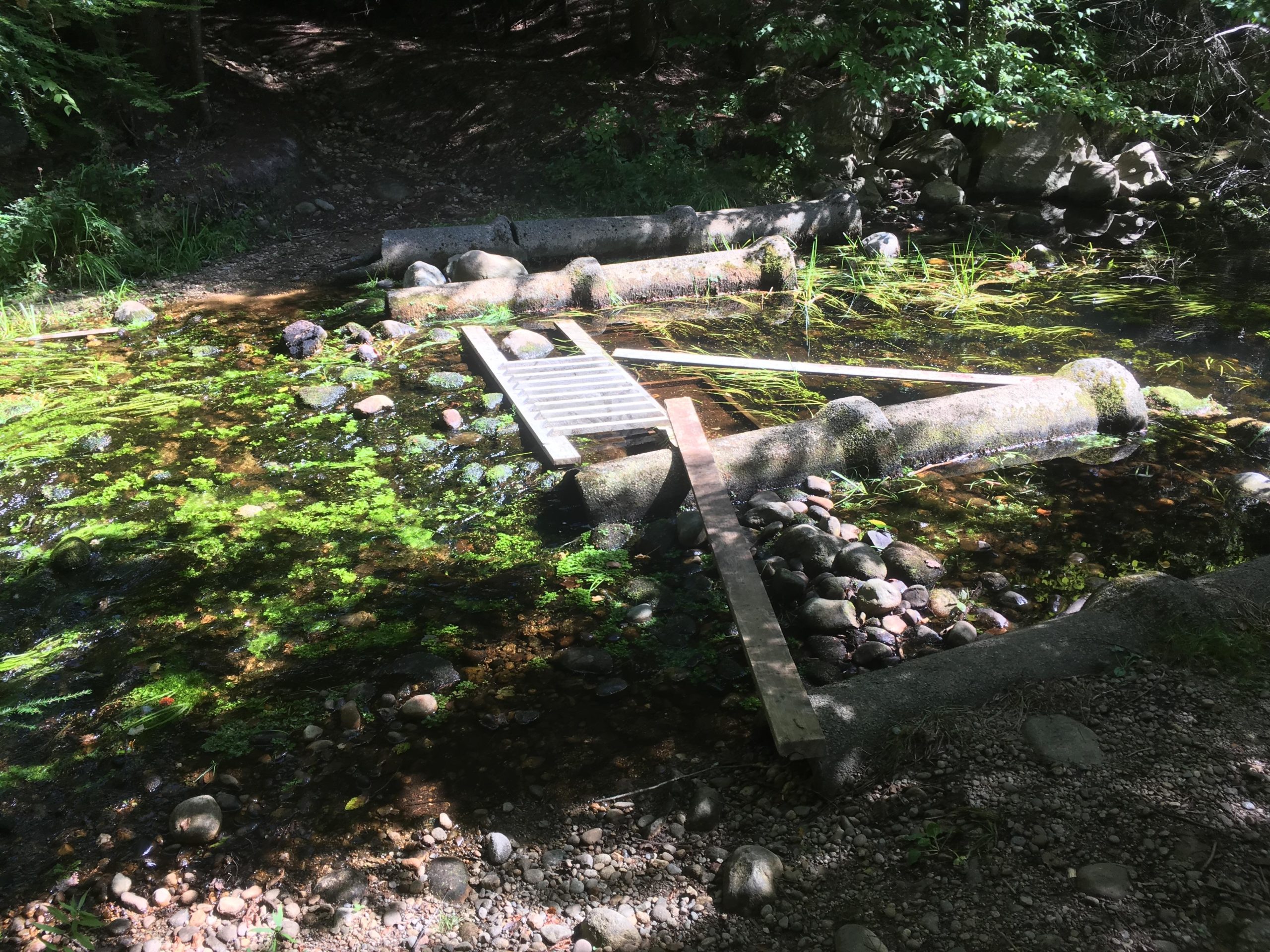 A small creek area with green vegetation and moss-covered rocks. In the foreground, there are several large, rounded stones and fallen logs partially submerged in the water, along with a wooden boardwalk crossing the creek. Sunlight filters through the trees, creating dappled light on the water's surface. Bear Brook mountain bike trail.