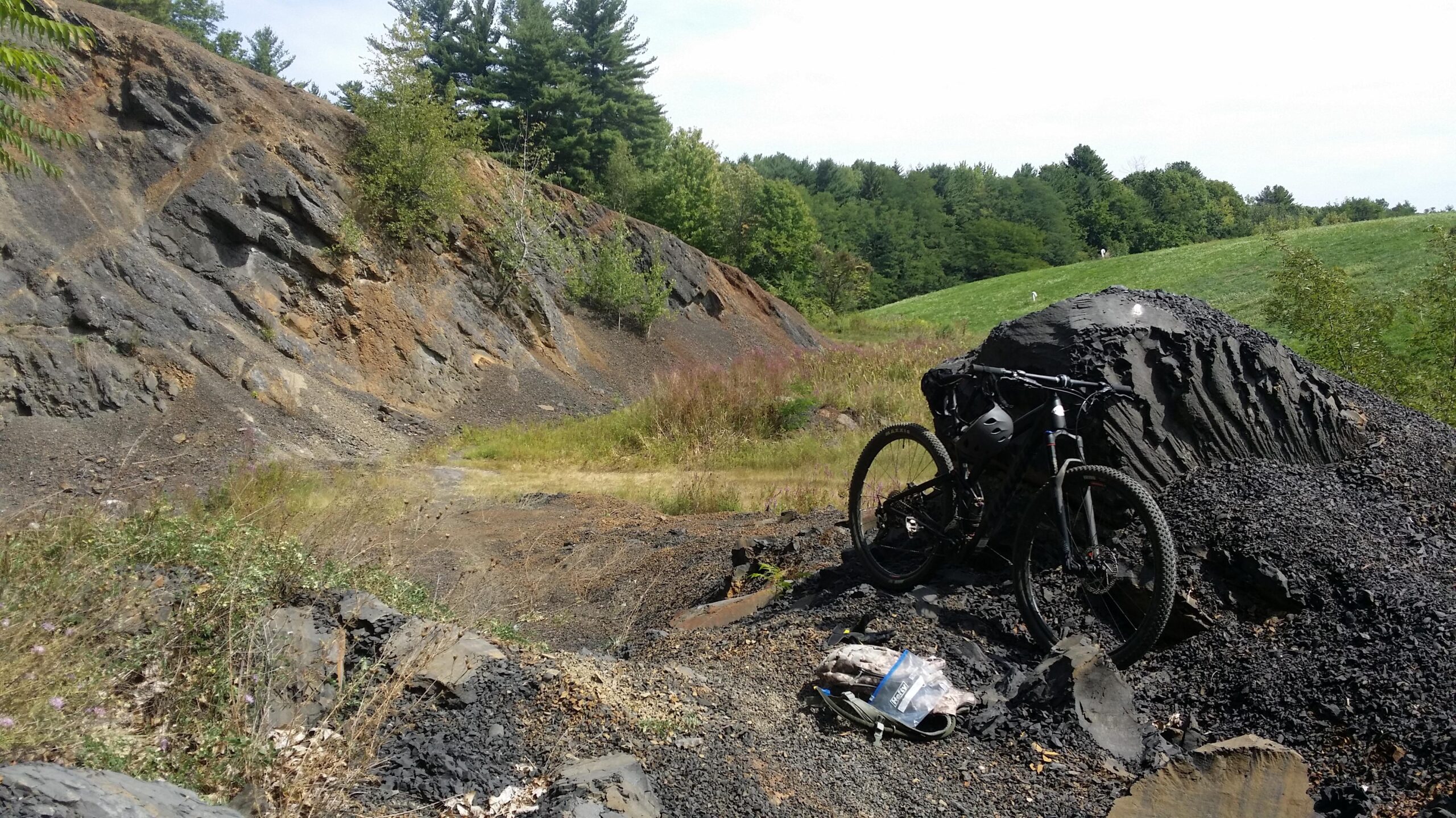 Niner Jet 9 Carbon: A mountain bike rests against a large rocky outcrop, surrounded by a landscape of mixed grass and sparse vegetation. In the background, a sloping hill is visible, dotted with trees and patches of open grass. The scene captures a natural area, suggesting a remote or less traveled biking trail.