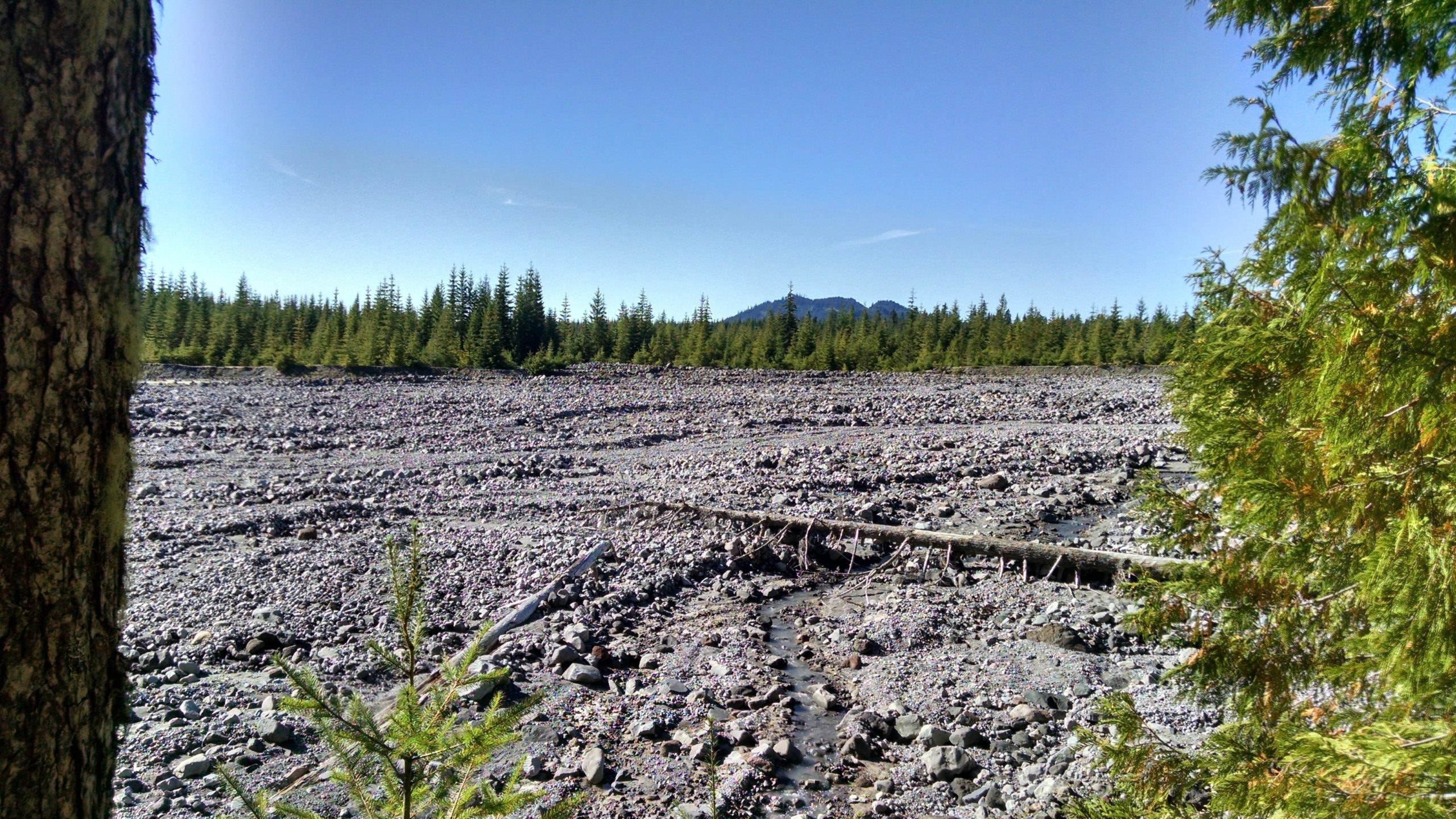 A rocky landscape with a gravelly terrain, dotted with scattered boulders and logs, set against a backdrop of tall evergreen trees and a clear blue sky. In the distance, a mountain range is visible, providing a natural horizon. Ape Canyon#234, Abraham#216d, Smith Creek#225 Trails mountain bike trail.