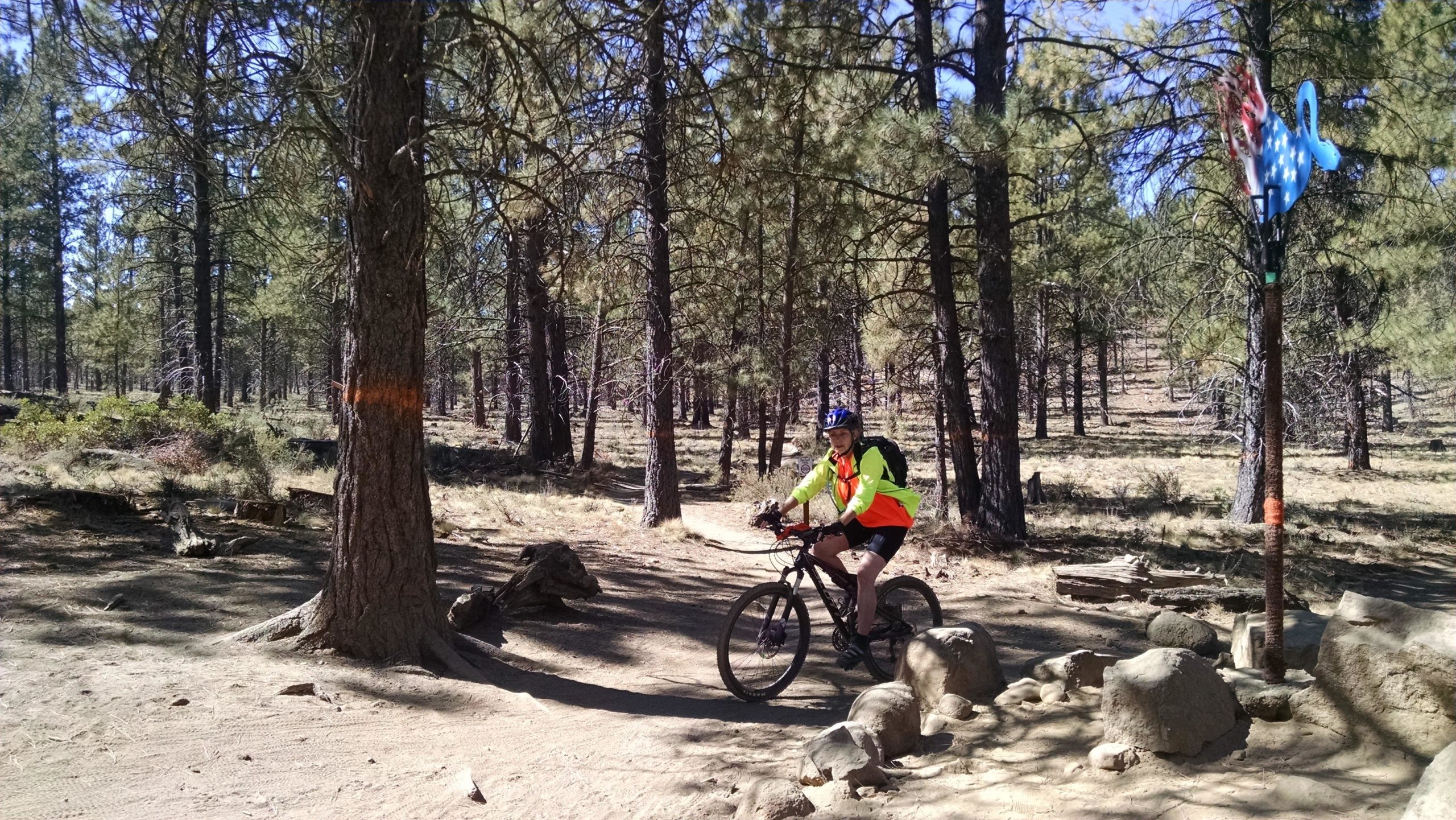 A person wearing a bright yellow vest and helmet is riding a mountain bike on a dirt trail surrounded by tall pine trees. In the background, there are rocks and a trail marker in the form of a blue flamingo with American flag design. The scene depicts a sunny day in a forested area. Phil's Area mountain bike trail.