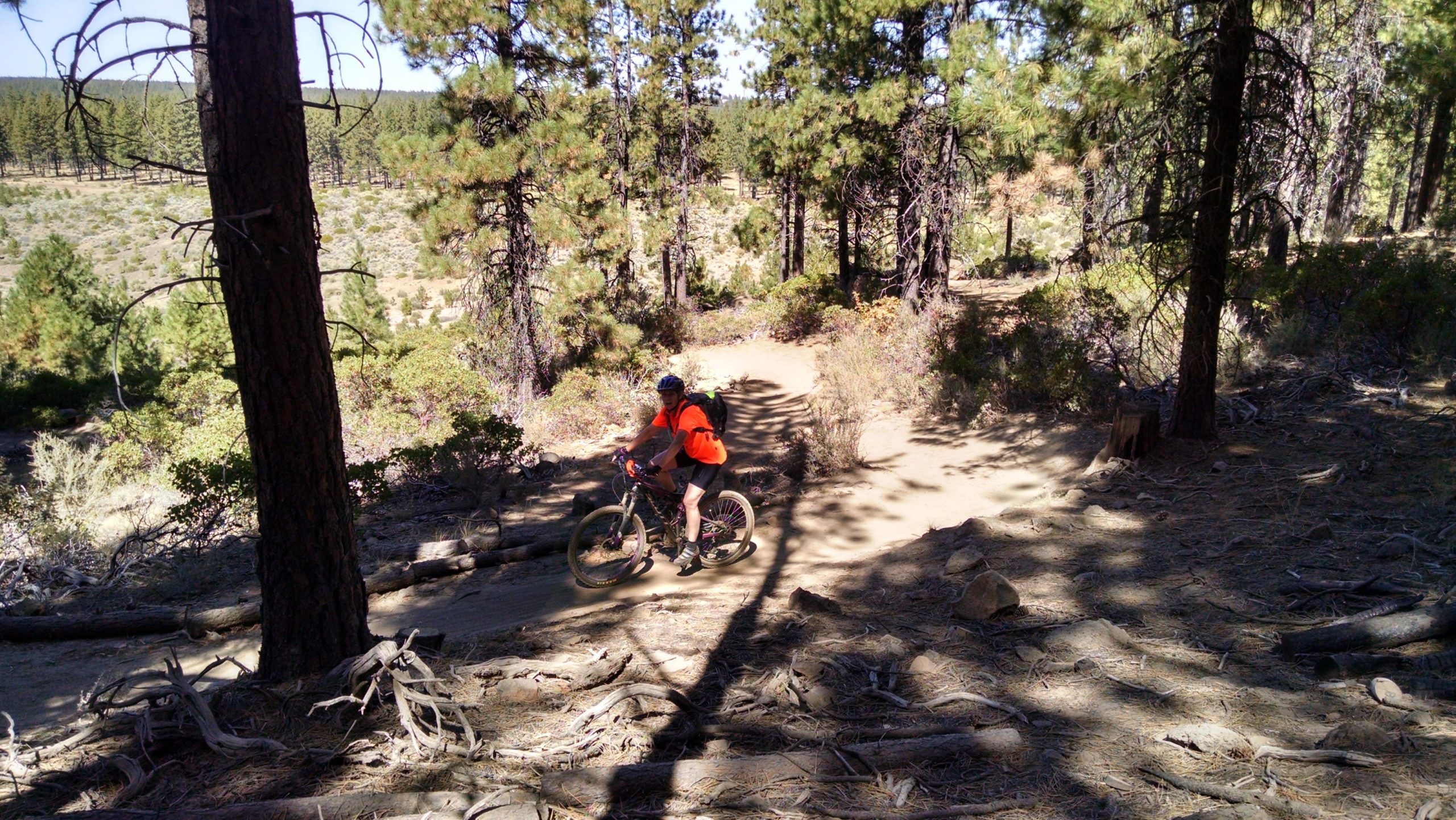  Phil's Area mountain bike trail.