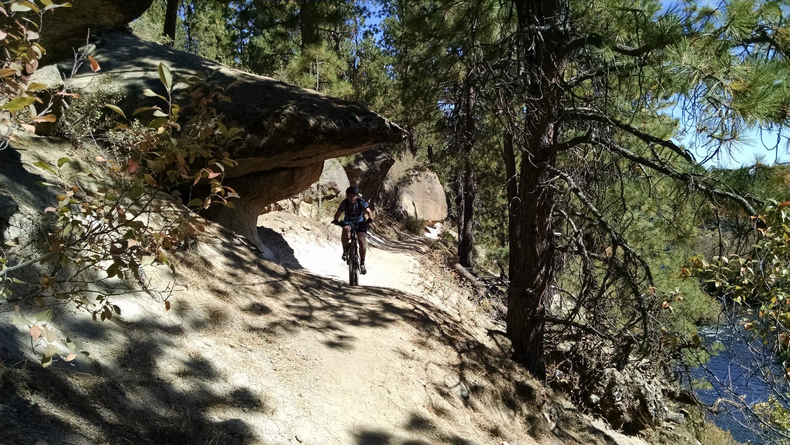 A mountain biker rides along a narrow dirt trail surrounded by tall trees and rock formations, with a river visible to the right. The sunlight filters through the branches, creating dappled shadows on the path. Deschutes River mountain bike trail.