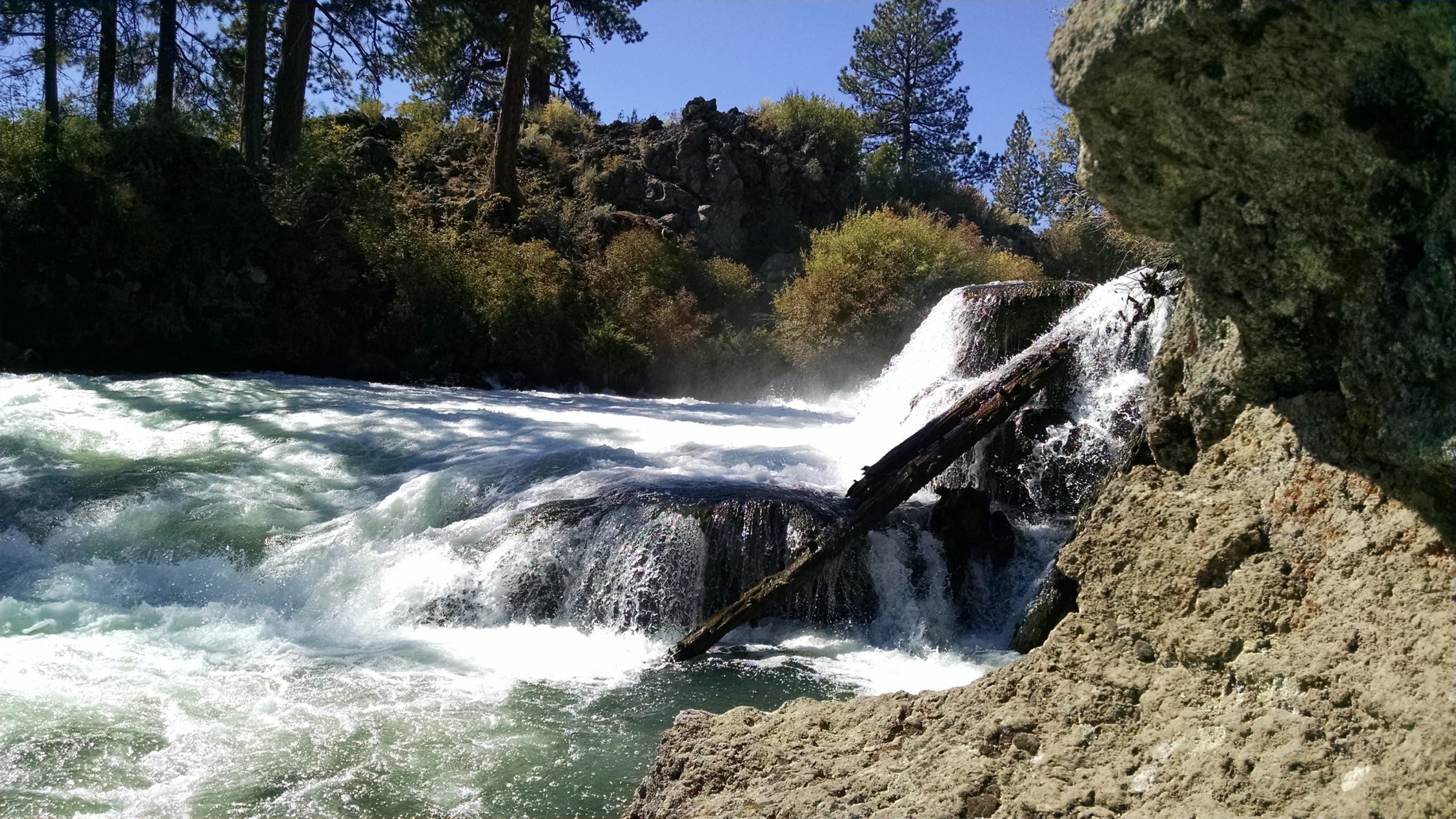 Alt tag: A rocky river scene featuring a waterfall cascading over the rocks, surrounded by lush greenery and tall trees under a clear blue sky. Deschutes River mountain bike trail.