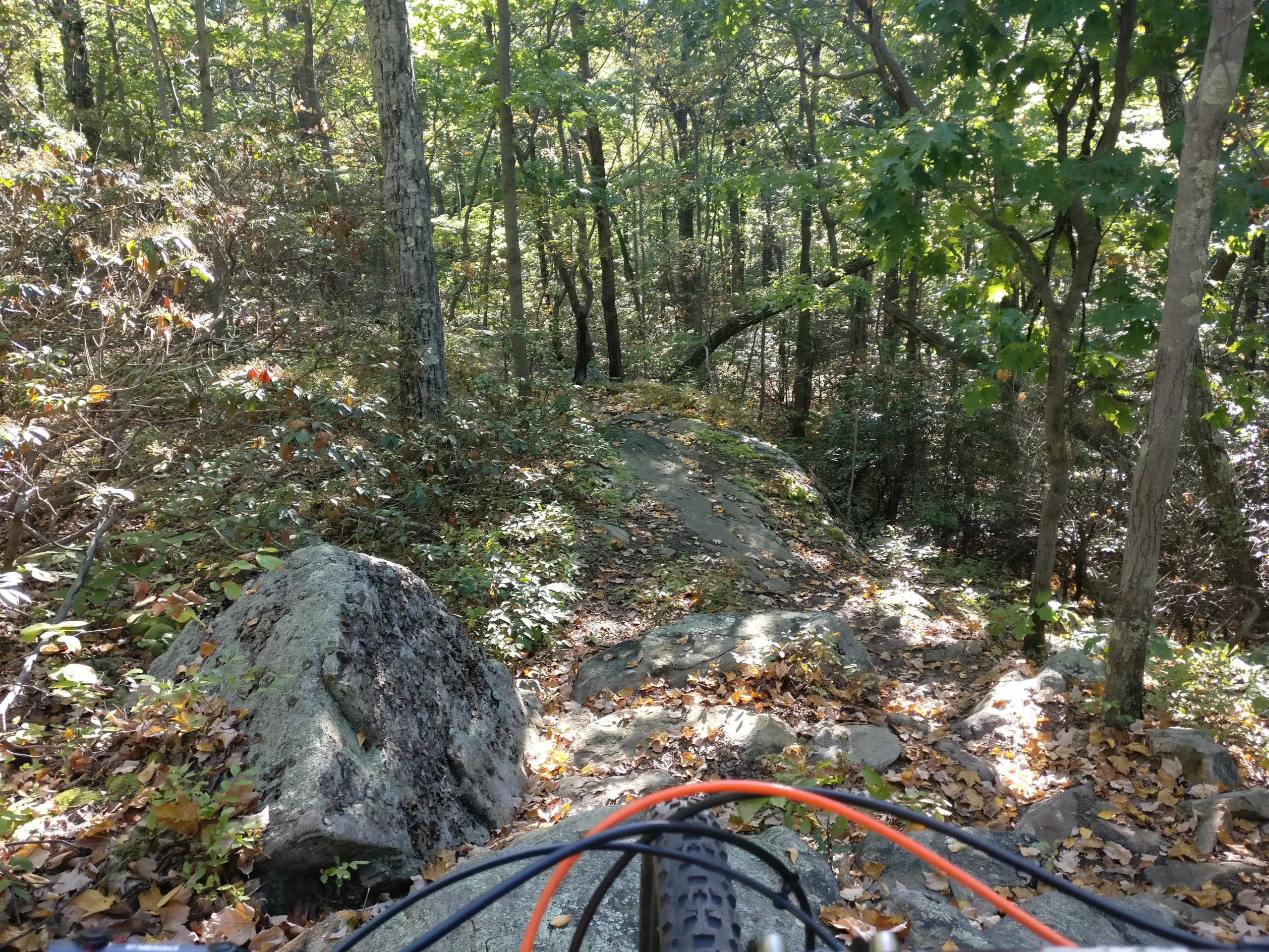 A view from the handlebars of a mountain bike, looking down a rocky trail surrounded by dense trees and foliage in a forest. The ground is covered with fallen leaves, and sunlight filters through the trees, creating dappled light on the trail. Long Pond Ironworks State Park mountain bike trail.