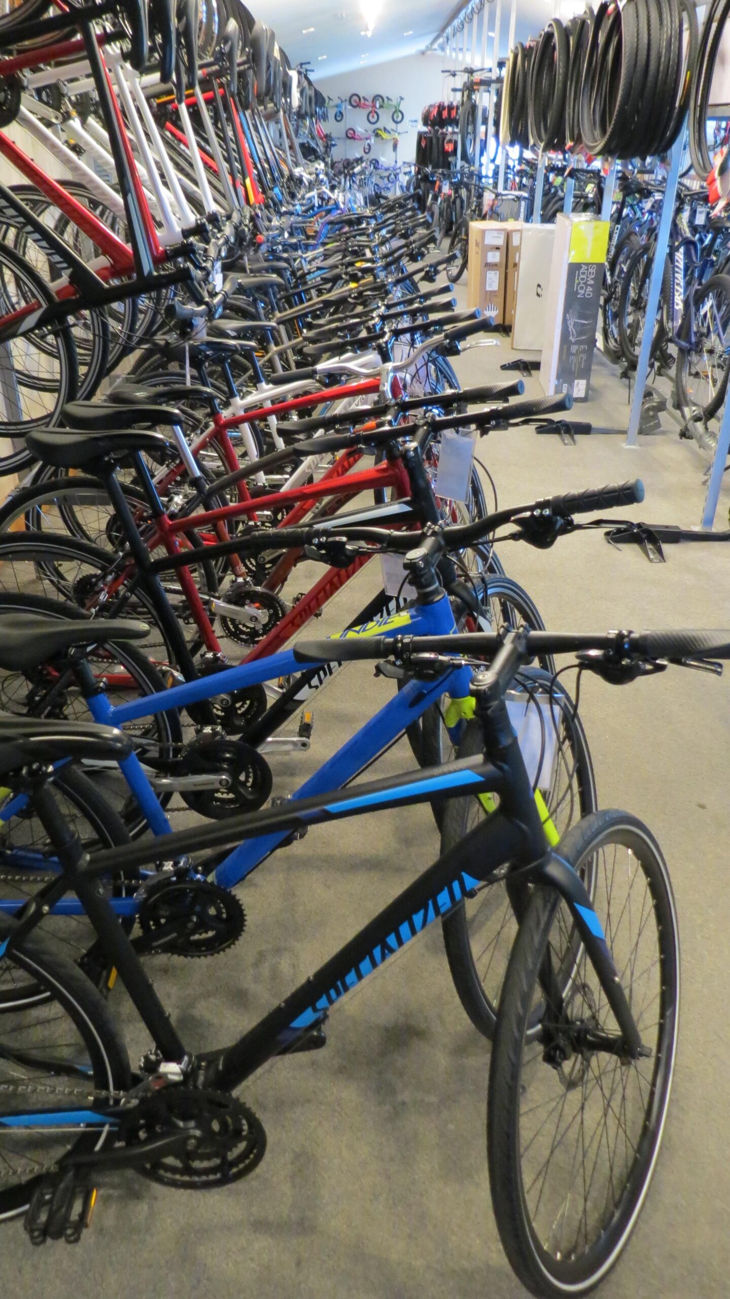 A row of various bicycles in a store, featuring a mix of colors including red, blue, and black. The bikes are displayed upright, showcasing their frames, handlebars, and tires. In the background, additional bikes and accessories are visible, emphasizing a well-stocked bike shop.