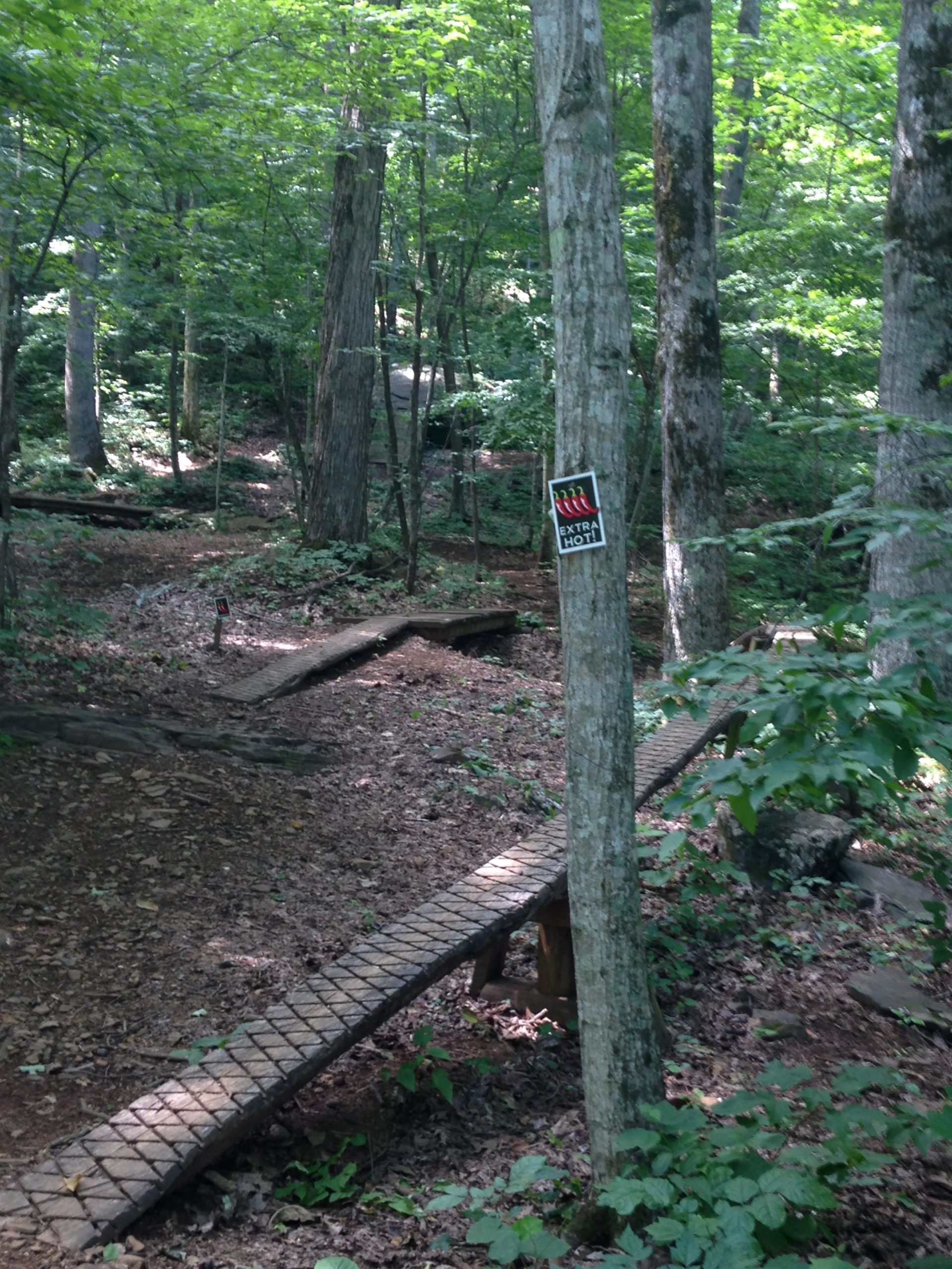 A narrow wooden pathway winds through a forested area, surrounded by tall trees and lush green foliage. A sign marked "EXTRA HOT" is attached to a tree on the right side of the image. The ground is covered with fallen leaves and the sunlight filters through the leaves, creating dappled shadows on the path. Rocky Knob Park mountain bike trail.
