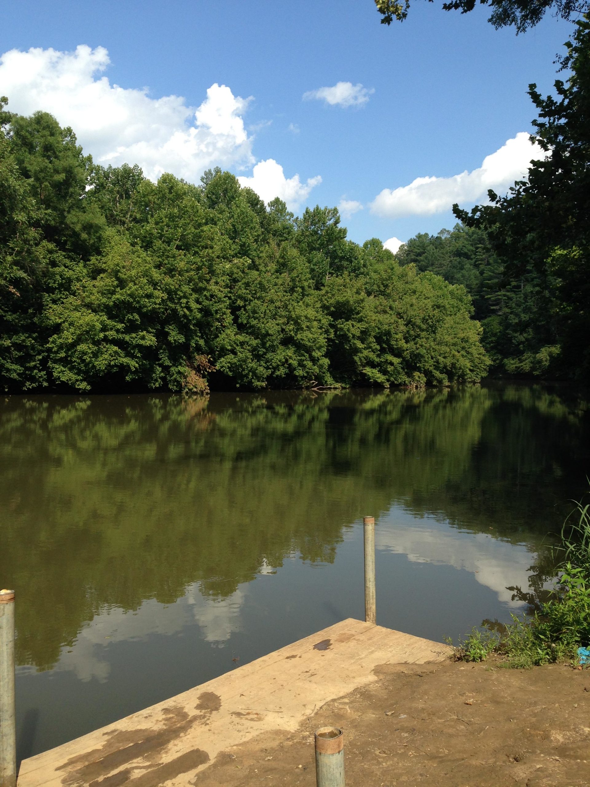 A serene river scene featuring lush green trees lining the water's edge under a clear blue sky with white clouds. A small wooden dock is visible in the foreground, extending into the calm water, which reflects the surrounding trees and sky. Warrior Creek mountain bike trail.
