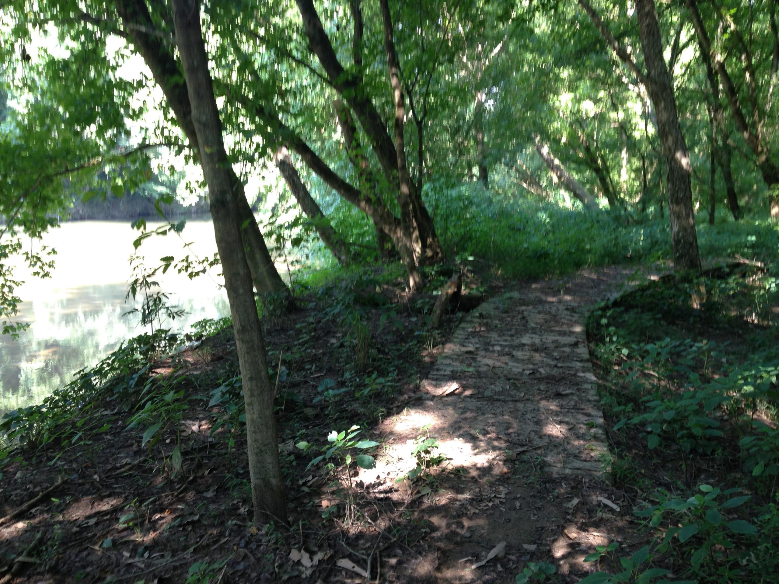 A narrow, winding path through a dense forest, with tall trees and lush greenery on either side. A calm body of water is visible in the background, reflecting the light filtering through the leaves. Overmountain Victory Trail mountain bike trail.