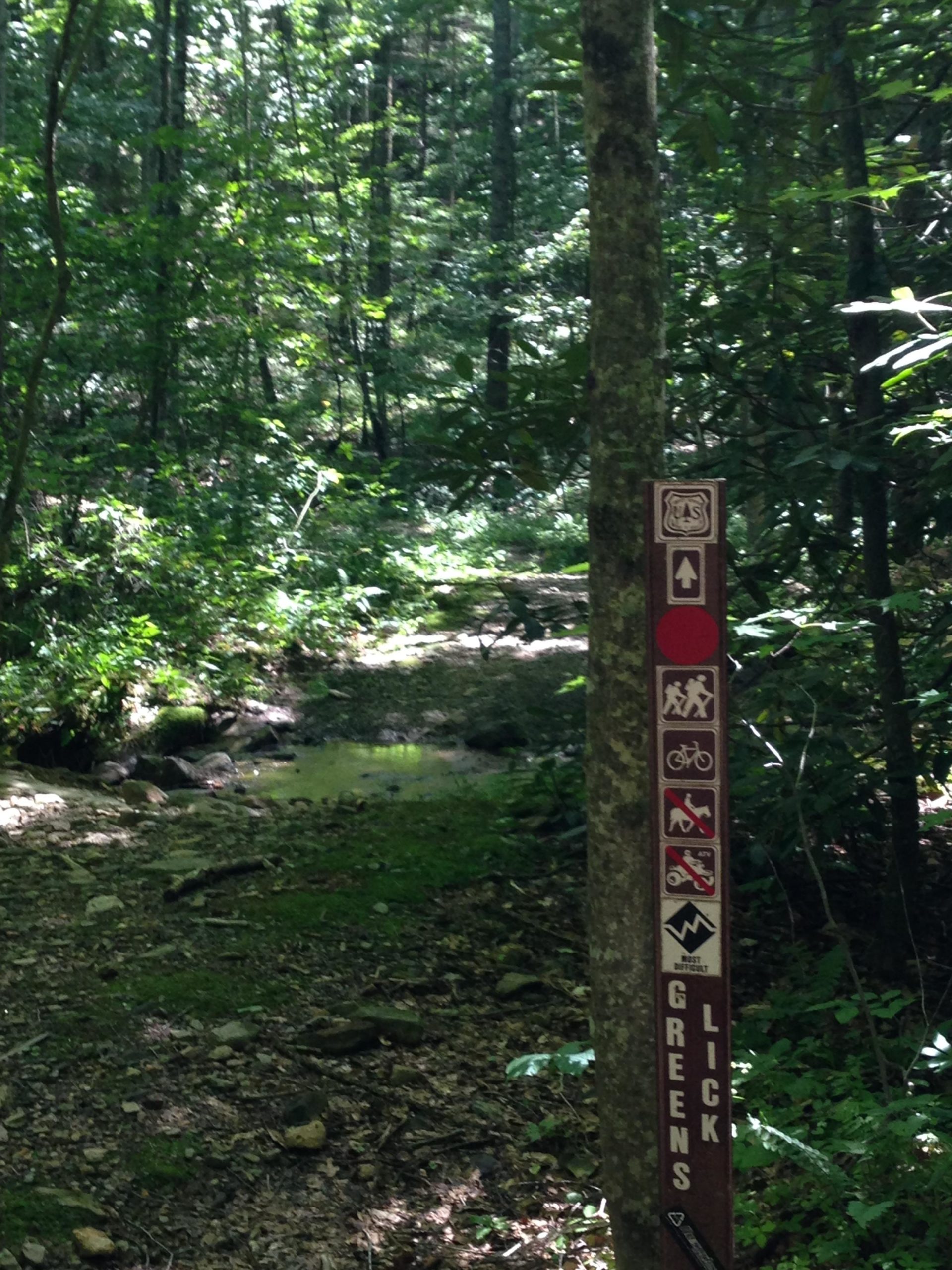 A signpost in a lush, green forest marking the Greens Lick trail. The sign includes symbols for hiking, biking, and trail difficulty, with a small creek and rocky terrain visible in the background. Sunlight filters through the trees, highlighting the dense foliage. Greenslick mountain bike trail.