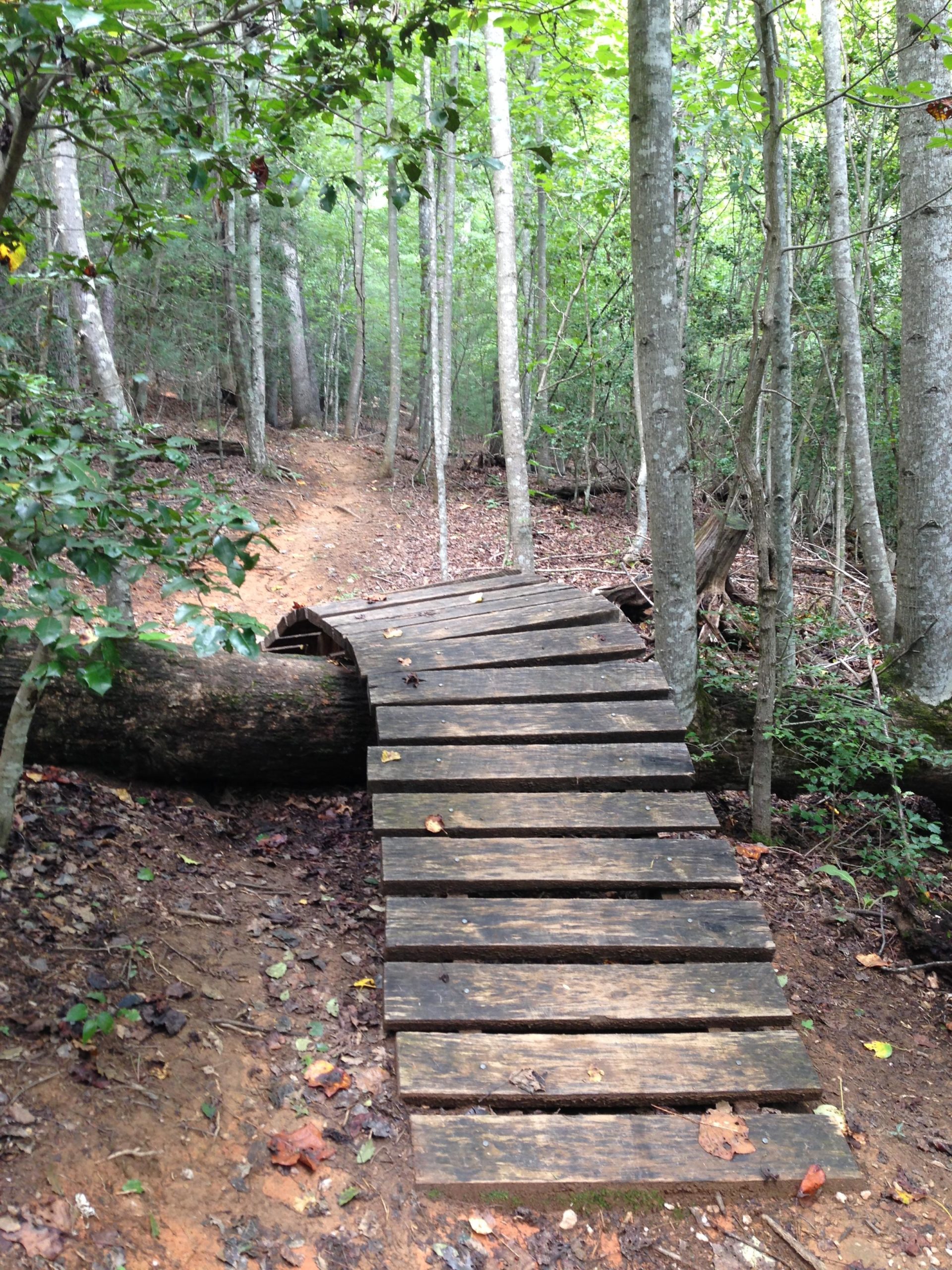 A simple wooden bridge made of planks crosses over a small gap in a forested area, surrounded by trees and underbrush. The path leading up to the bridge is dirt, with scattered leaves and twigs along the ground. Bright green foliage creates a natural, serene backdrop. Warrior Creek mountain bike trail.