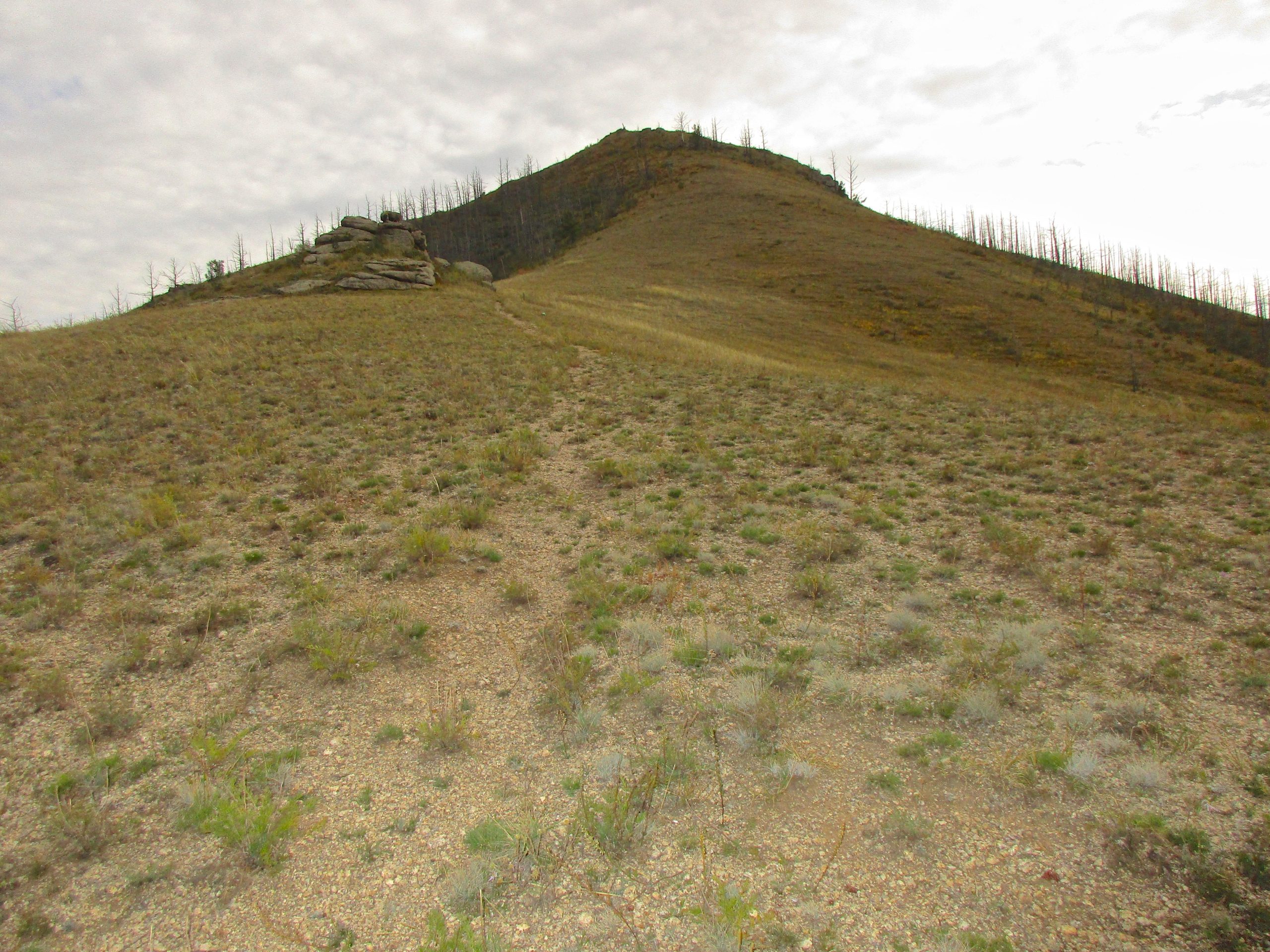A grassy hillside leading up to a rocky peak, with sparse vegetation and remnants of burned trees in the background under a cloudy sky. The Beast mountain bike trail.