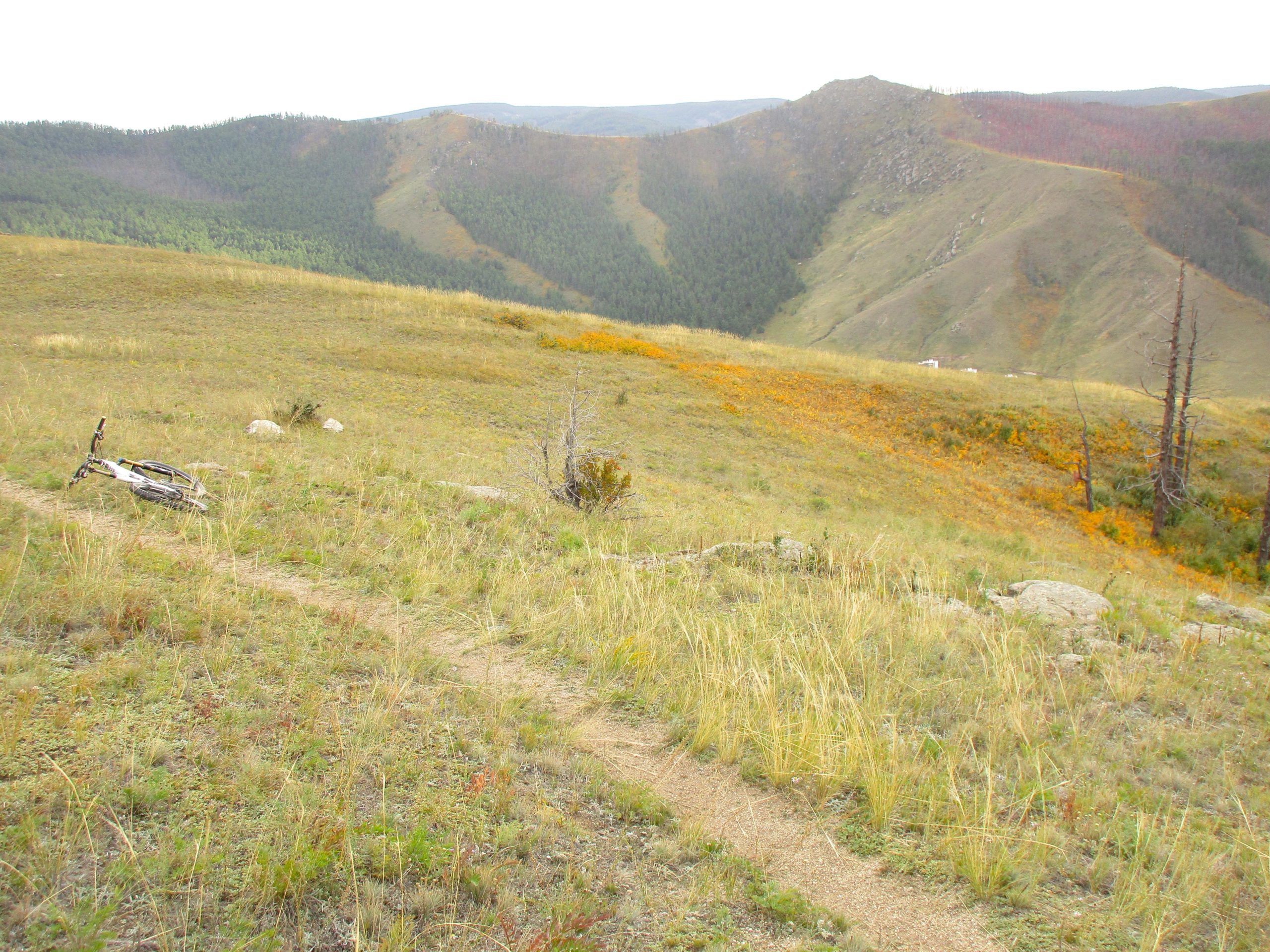A serene landscape featuring rolling hills covered in tall grass and scattered rocks, with a narrow dirt path winding through the foreground. In the distance, the hills are dotted with patches of green forests and autumn-colored foliage. The sky is overcast, adding a tranquil ambiance to the scene. A bicycle rests on its side, hinting at recent exploration of the area. The Beast mountain bike trail.
