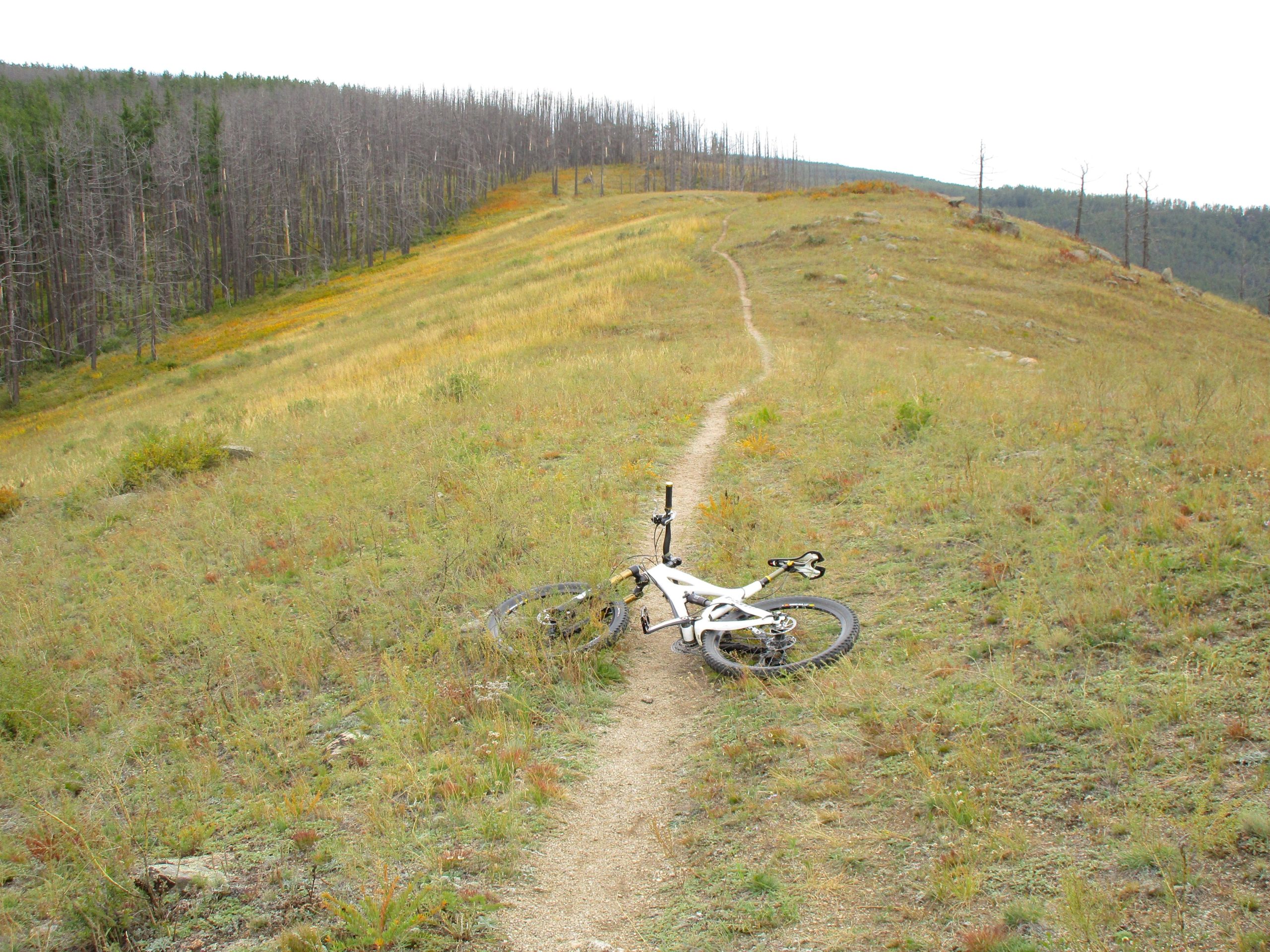 A mountain bike lying on a narrow dirt trail surrounded by an open grassland area, with patches of wildflowers and a backdrop of forested hills, some trees appearing dead. The scene is captured under a cloudy sky, suggesting a serene outdoor environment. The Beast mountain bike trail.