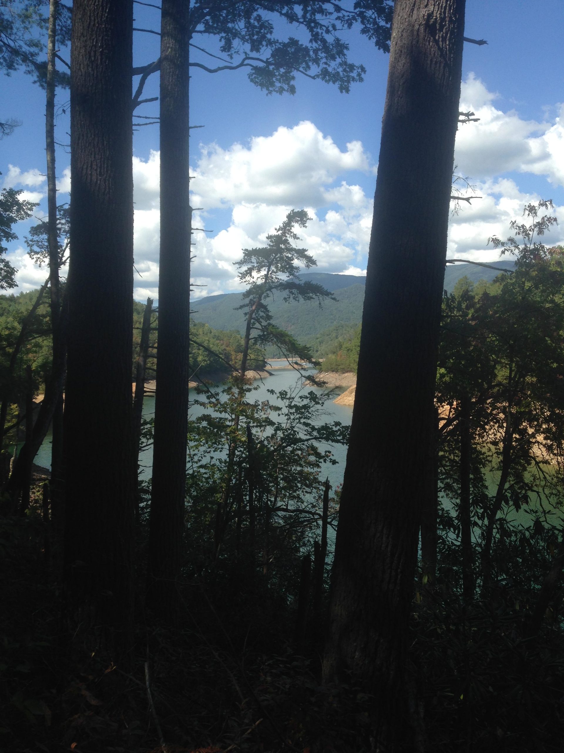 A scenic view through a forest of tall trees, overlooking a tranquil lake surrounded by mountains. Fluffy white clouds scatter across a bright blue sky, creating a serene atmosphere. The sunlight reflects on the water, highlighting the natural beauty of the landscape. Tsali Mouse Branch Loop mountain bike trail.