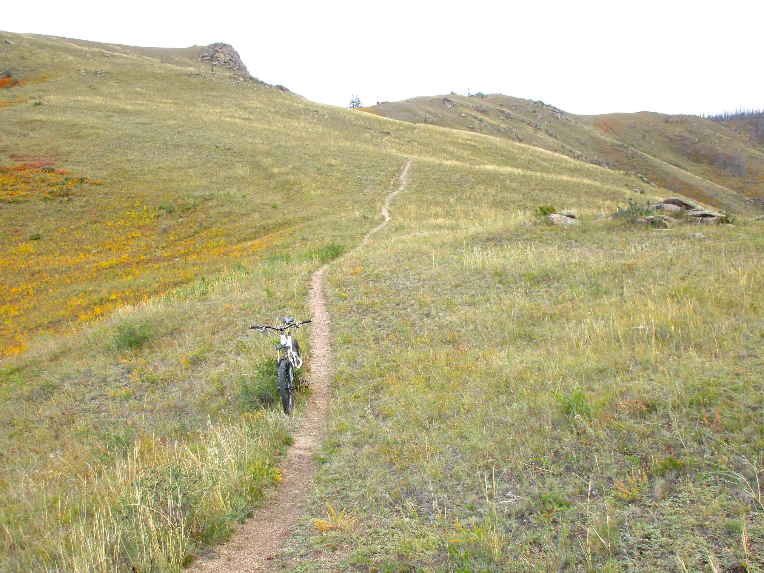 Mountain bike parked on a narrow dirt trail winding through grassy hills, with colorful wildflowers in the background and a cloudy sky overhead. The Beast mountain bike trail.