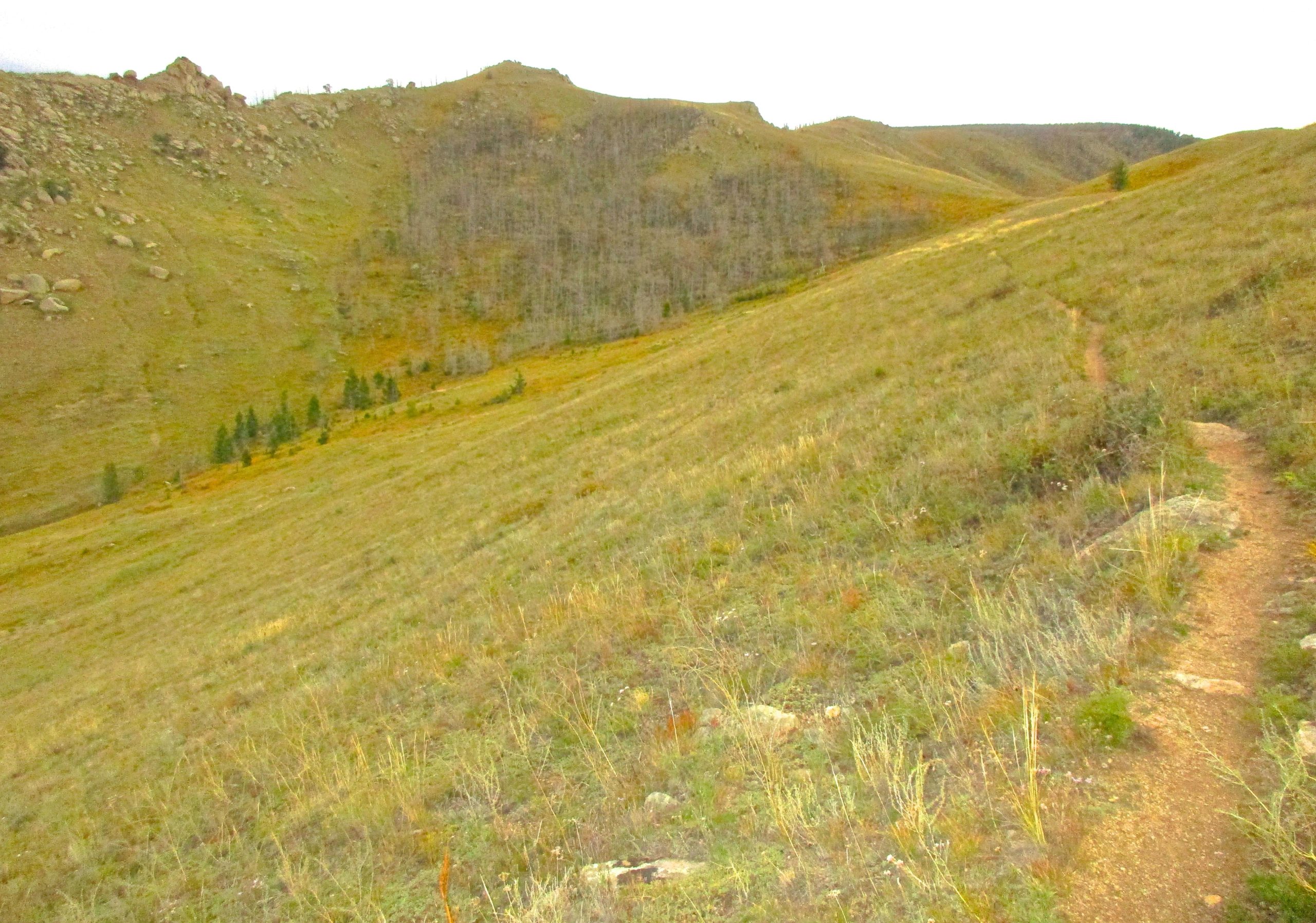 A winding trail through a grassy hillside, with rocky outcrops and sparse trees in the background. The landscape features rolling hills and a mix of green and brown vegetation under a cloudy sky. The Beast mountain bike trail.