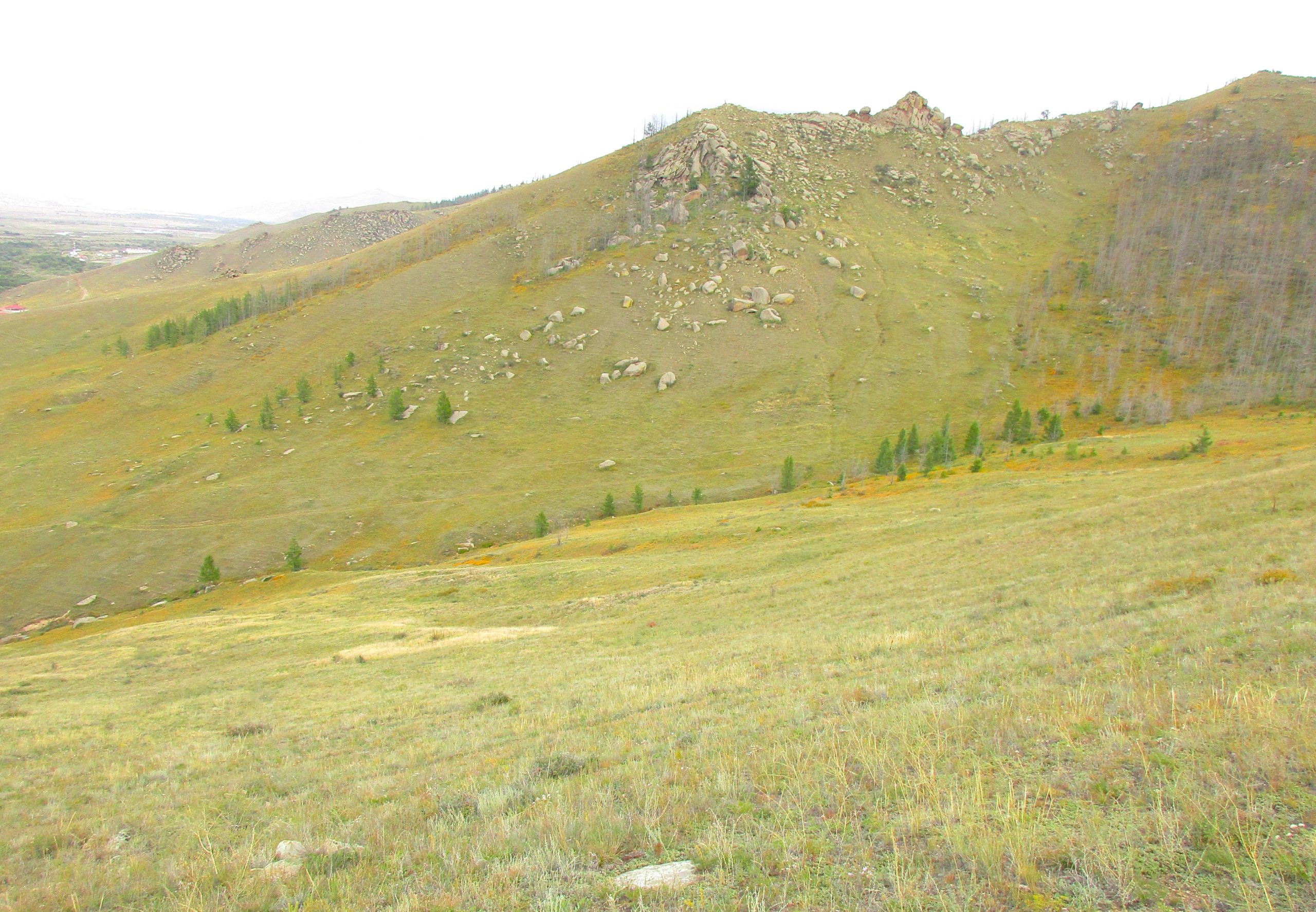A scenic view of rolling hills covered with grass and scattered boulders, featuring patches of green trees. The landscape is illuminated by soft, overcast lighting, creating a tranquil atmosphere. The Beast mountain bike trail.