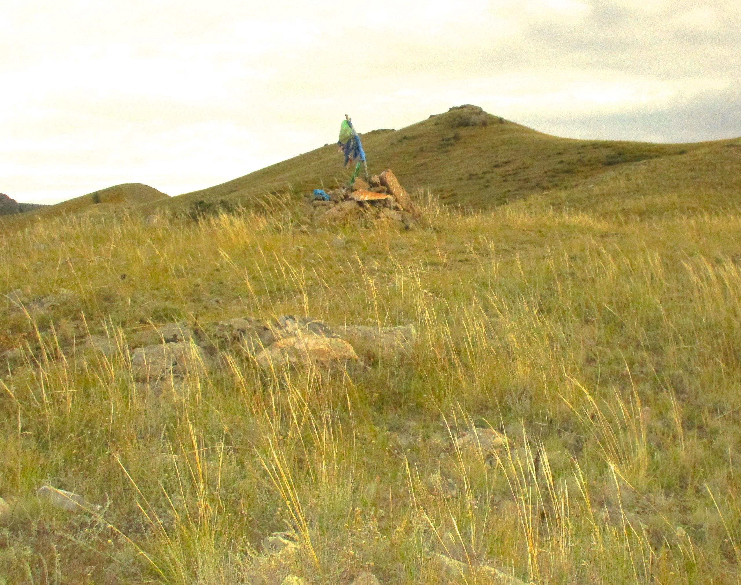 A scenic view of a grassy hillside with a rocky outcrop, featuring tall grasses waving gently in the breeze. In the background, a statue or figure is positioned on a small mound, surrounded by distant rolling hills under a cloudy sky. The Beast mountain bike trail.