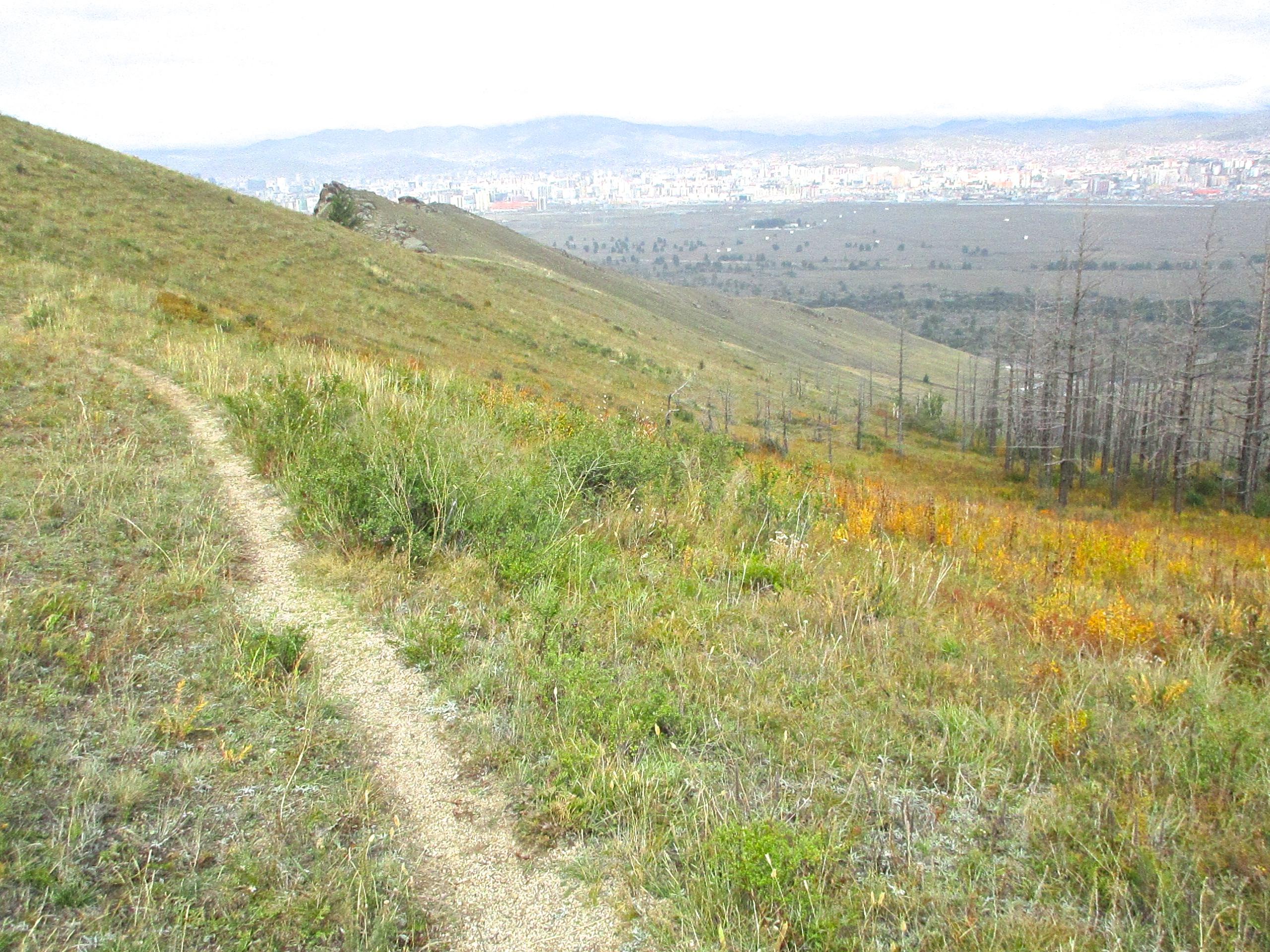 A winding dirt path leads through green grass and wildflowers on a hillside, with a view of a distant city partially obscured by a hazy sky. Sparse trees and areas of dried vegetation are visible on the slope, creating a contrast with the colorful foliage below. The Beast mountain bike trail.