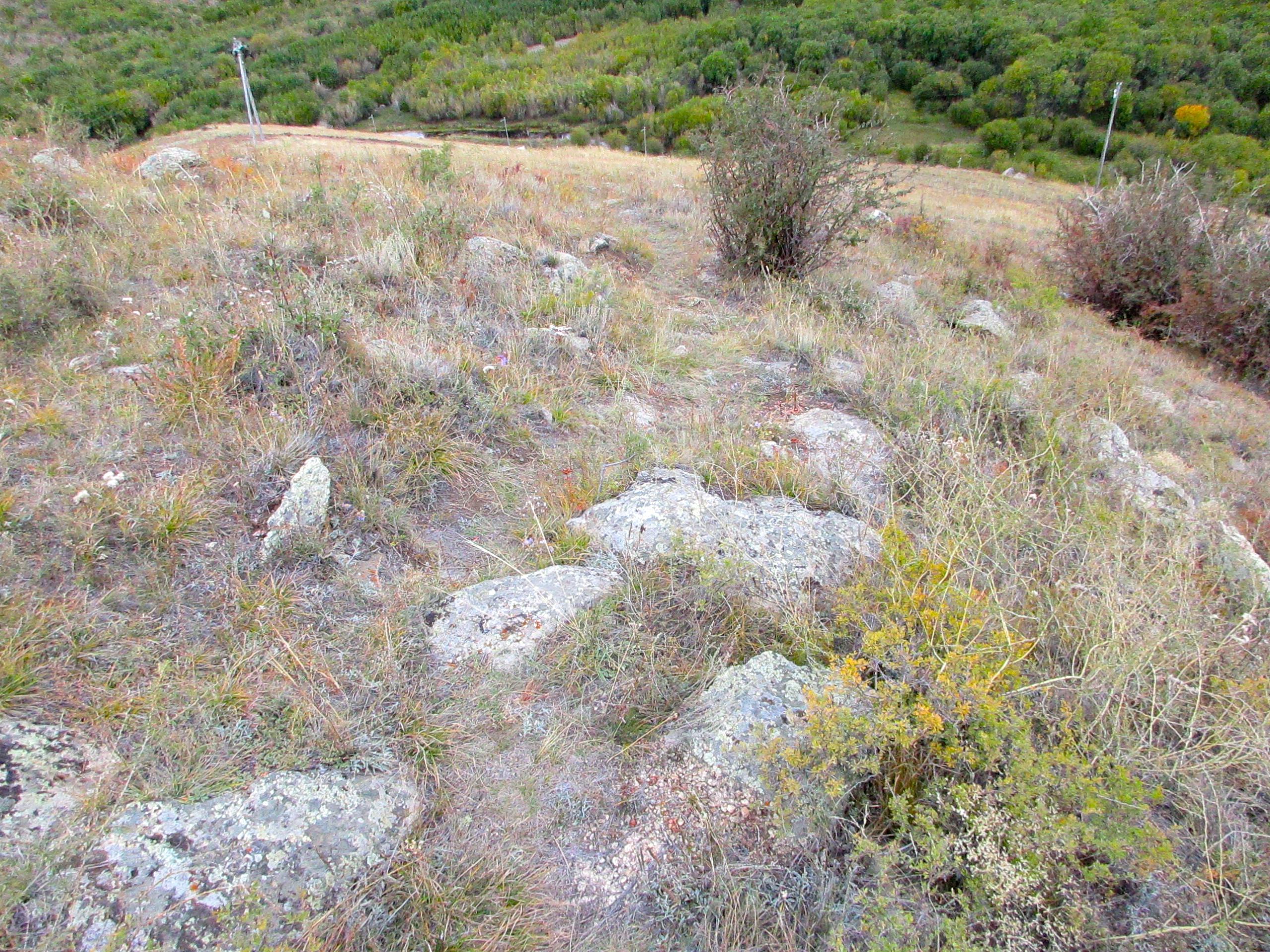 A rocky hillside covered with sparse grass and small shrubs, overlooking a green valley with trees and a winding path below. The Beast mountain bike trail.