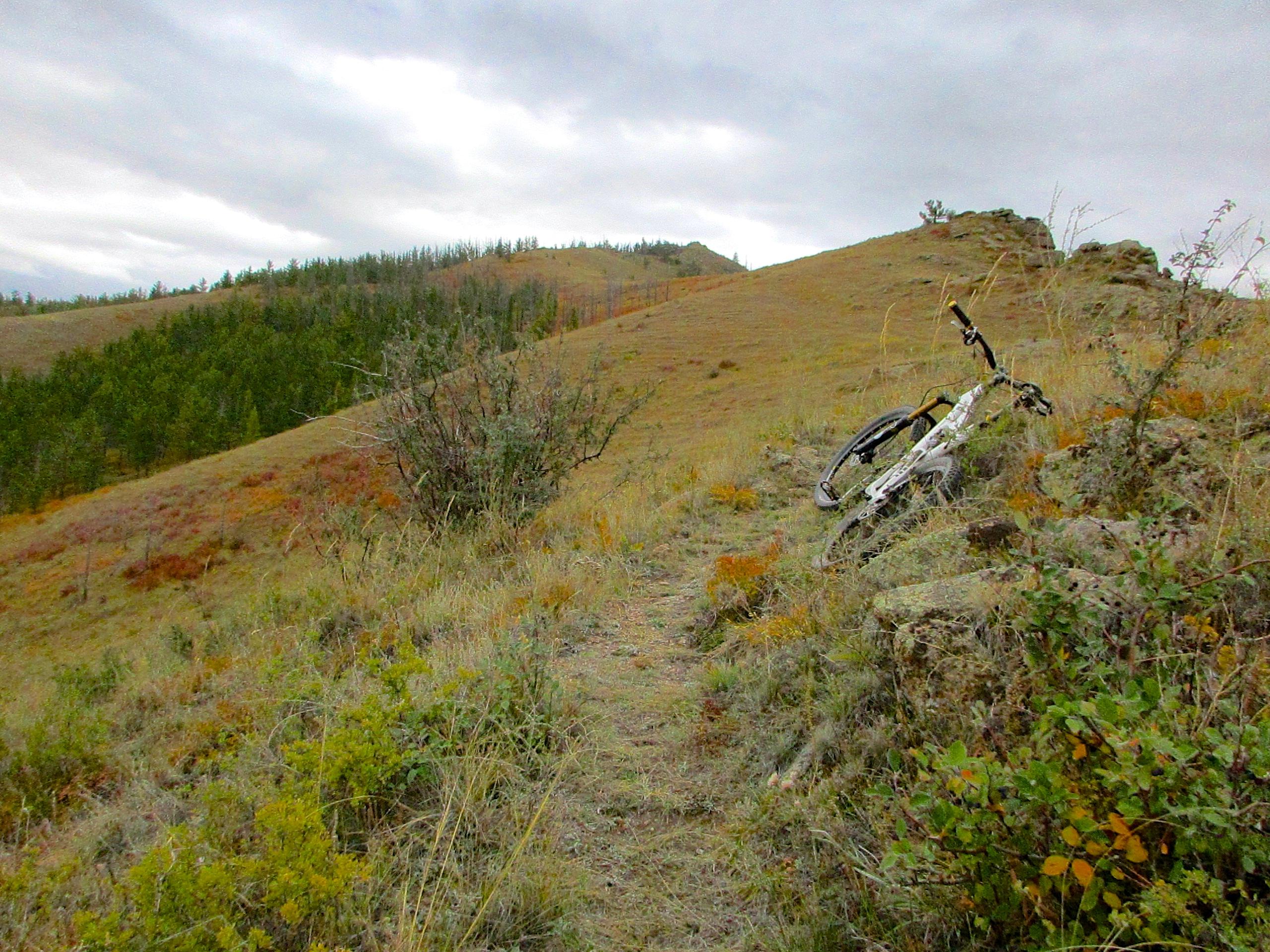 A mountain bike leaning against a rock on a grassy slope, surrounded by patches of wildflowers and shrubs, with rolling hills and a forested area in the background under a cloudy sky. The Beast mountain bike trail.