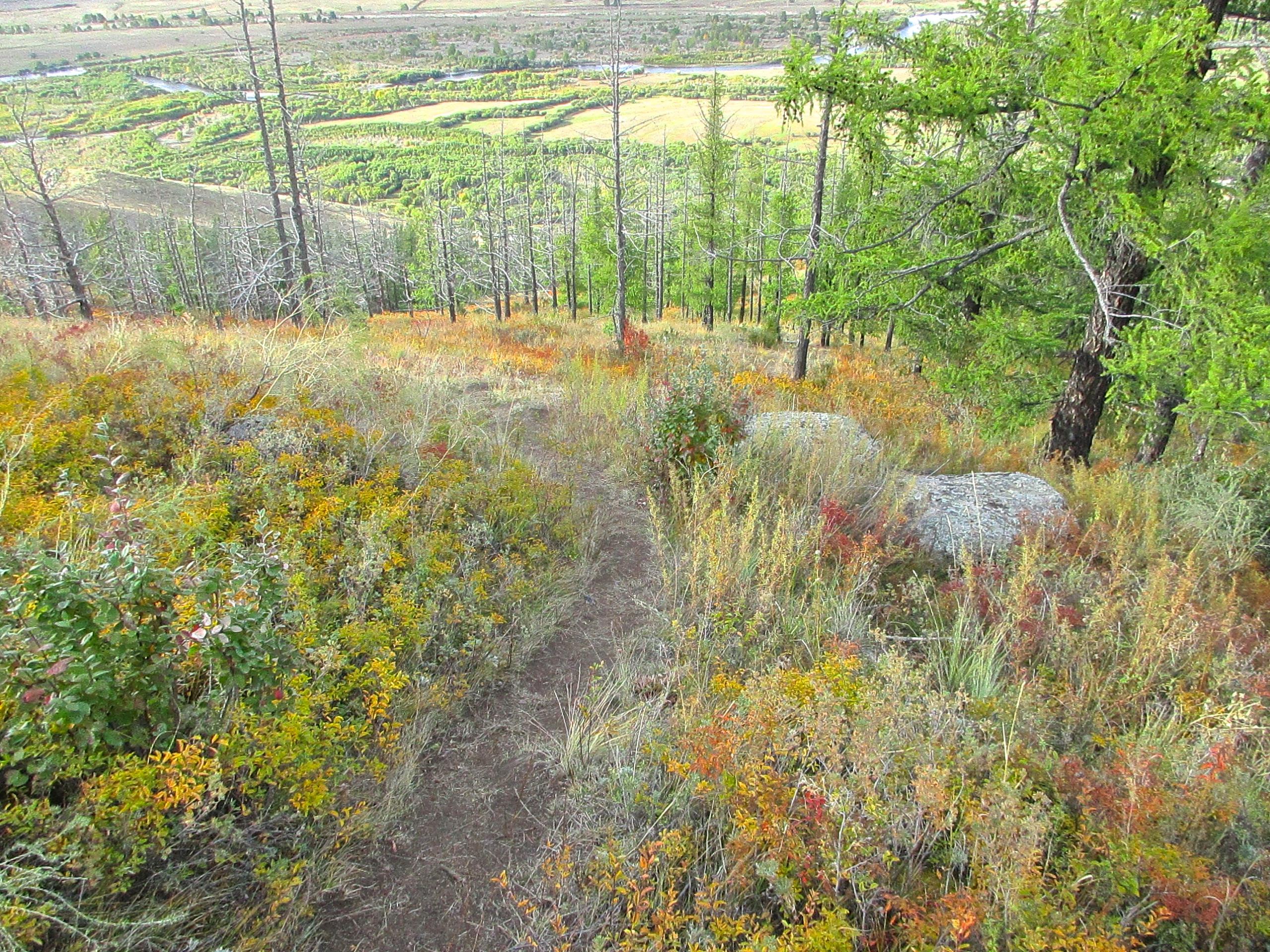 A scenic view from a hilltop overlooking a vibrant landscape with a winding river and fields in the distance. The foreground features a narrow trail leading down through a mix of colorful autumn foliage, including yellow, orange, and green plants, amidst scattered rocks and trees. The Beast mountain bike trail.